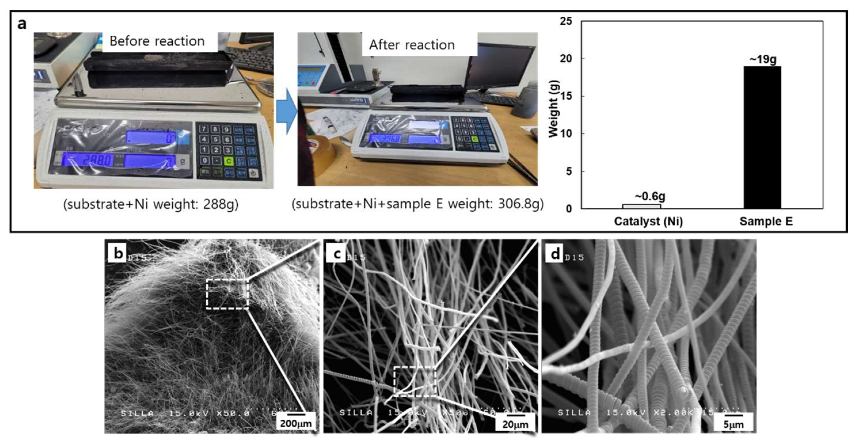 Molecules 28 00870 g004