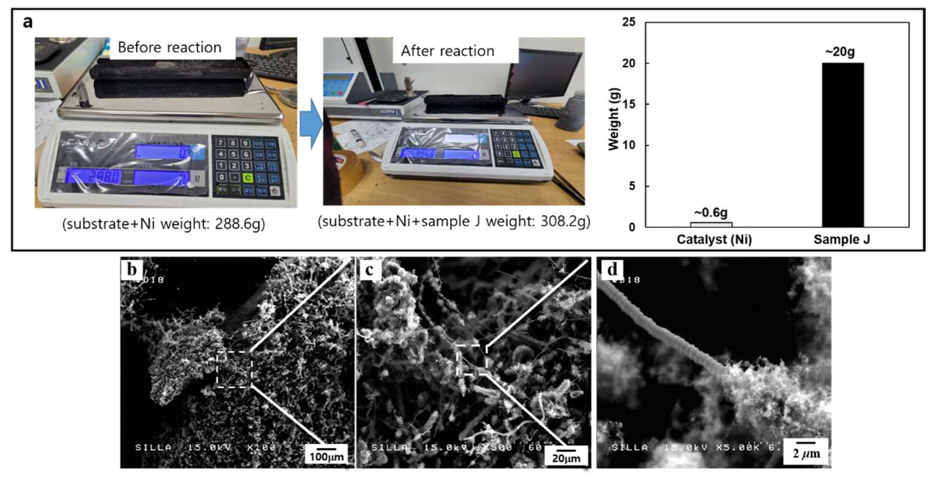 Molecules 28 00870 g005