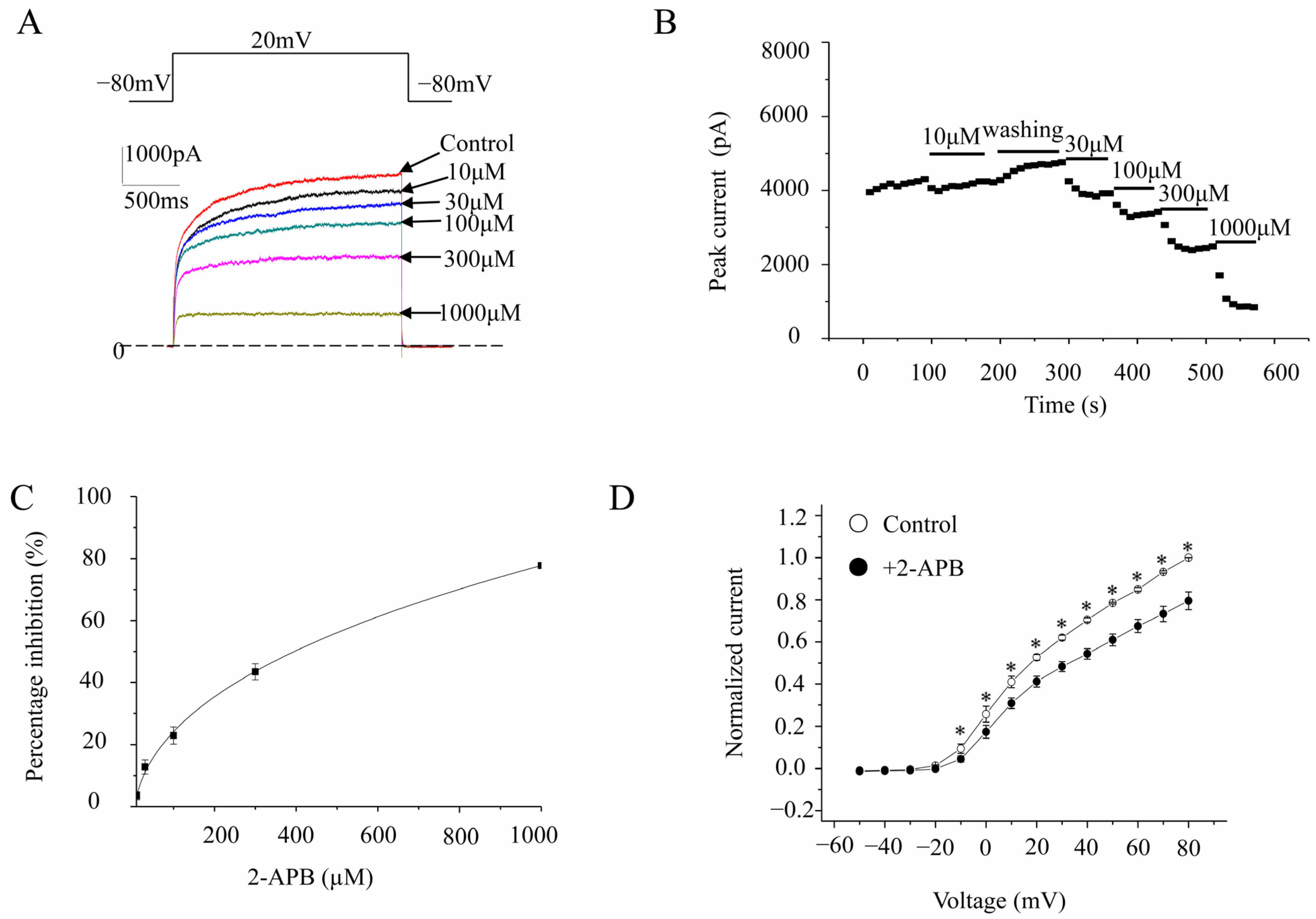 Molecules 28 00871 g001