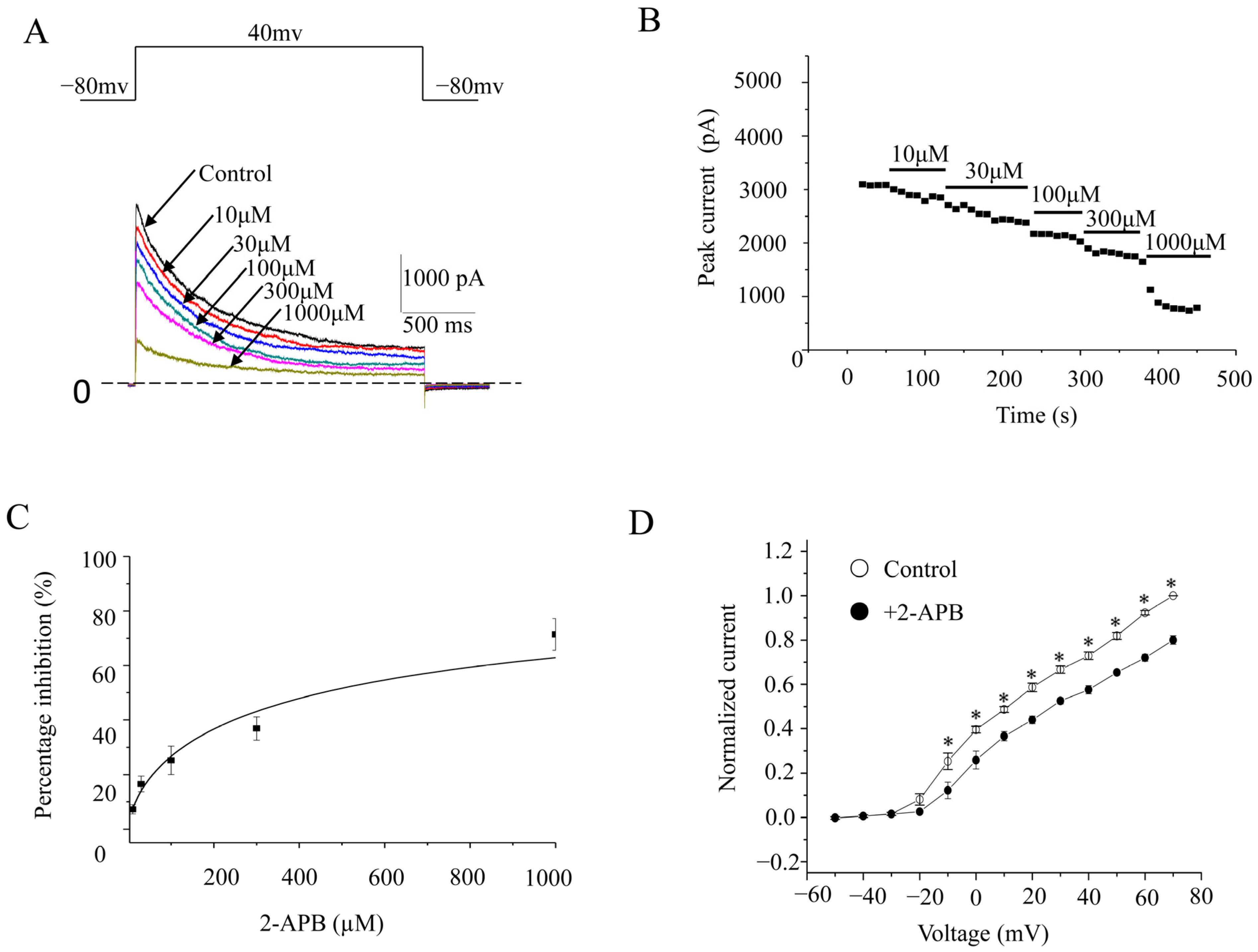 Molecules 28 00871 g002