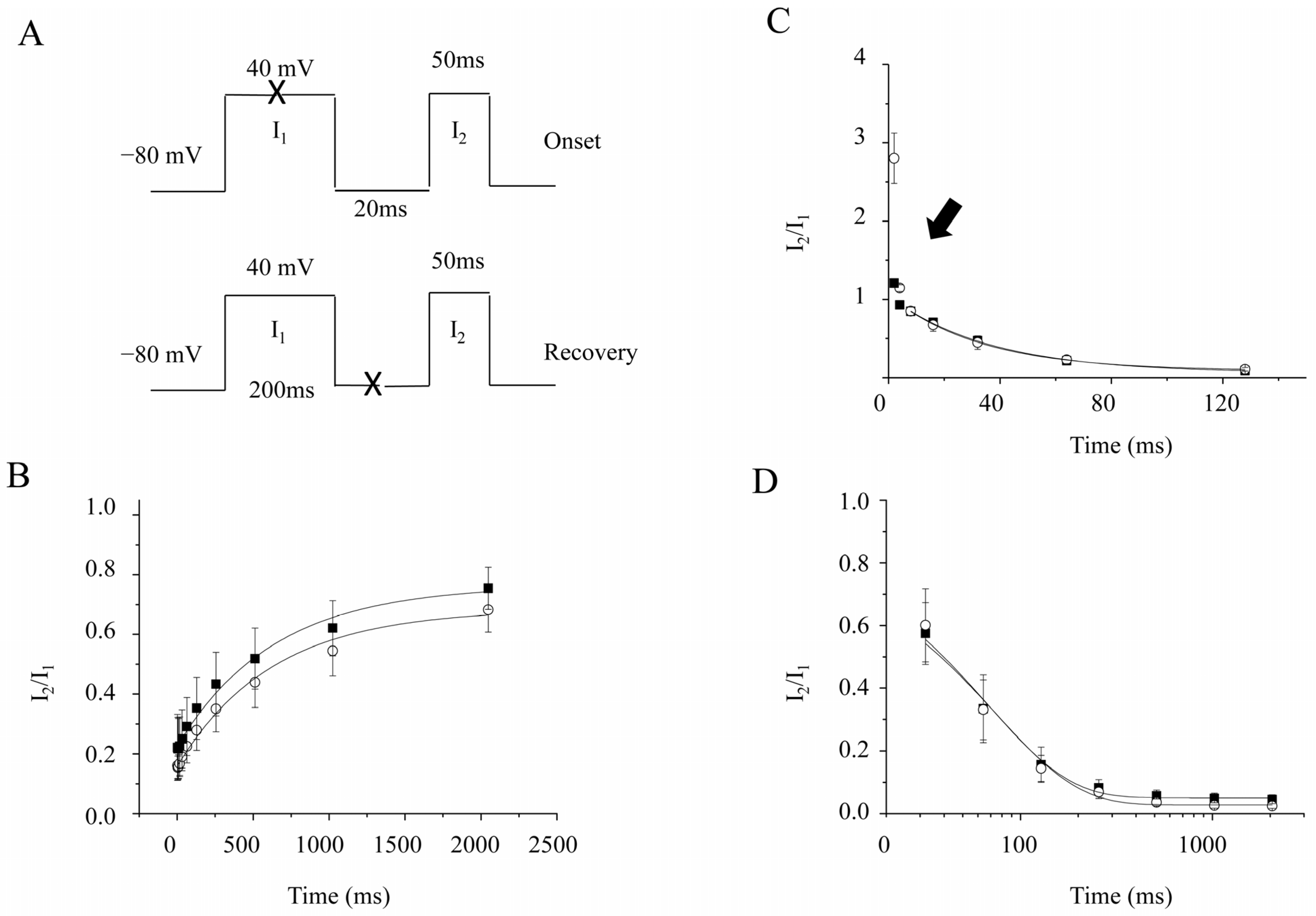 Molecules 28 00871 g004