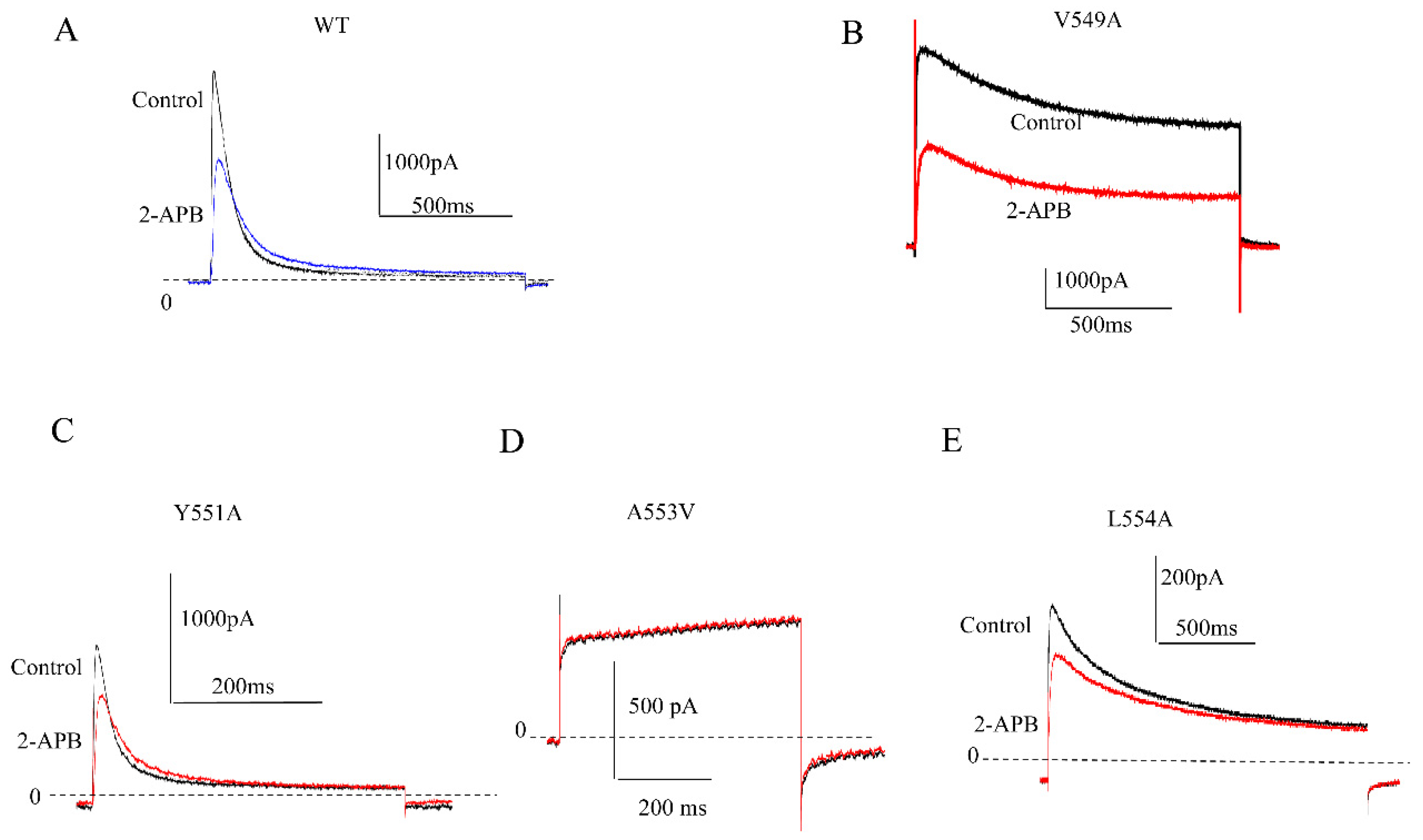 Molecules 28 00871 g006