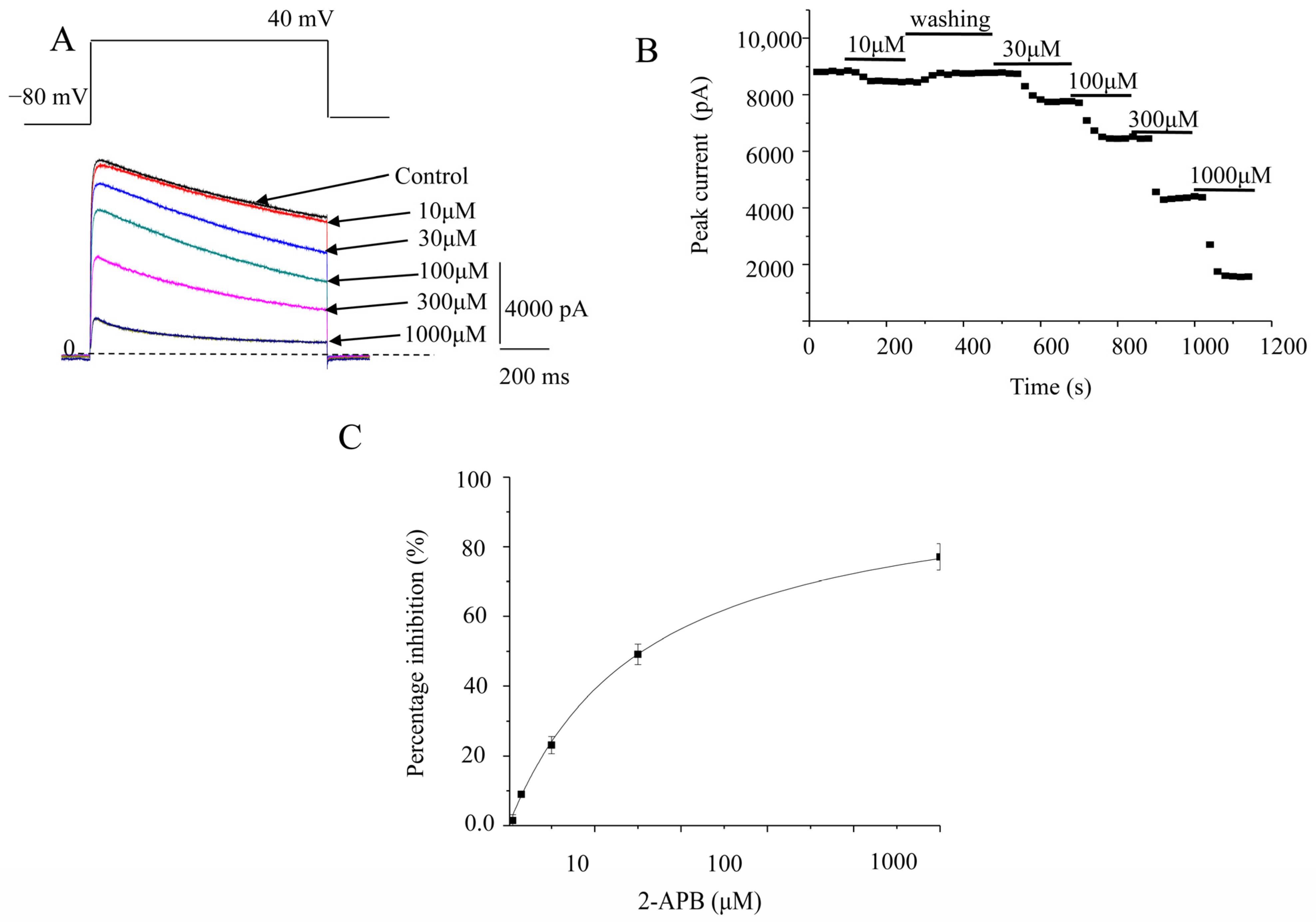 Molecules 28 00871 g007