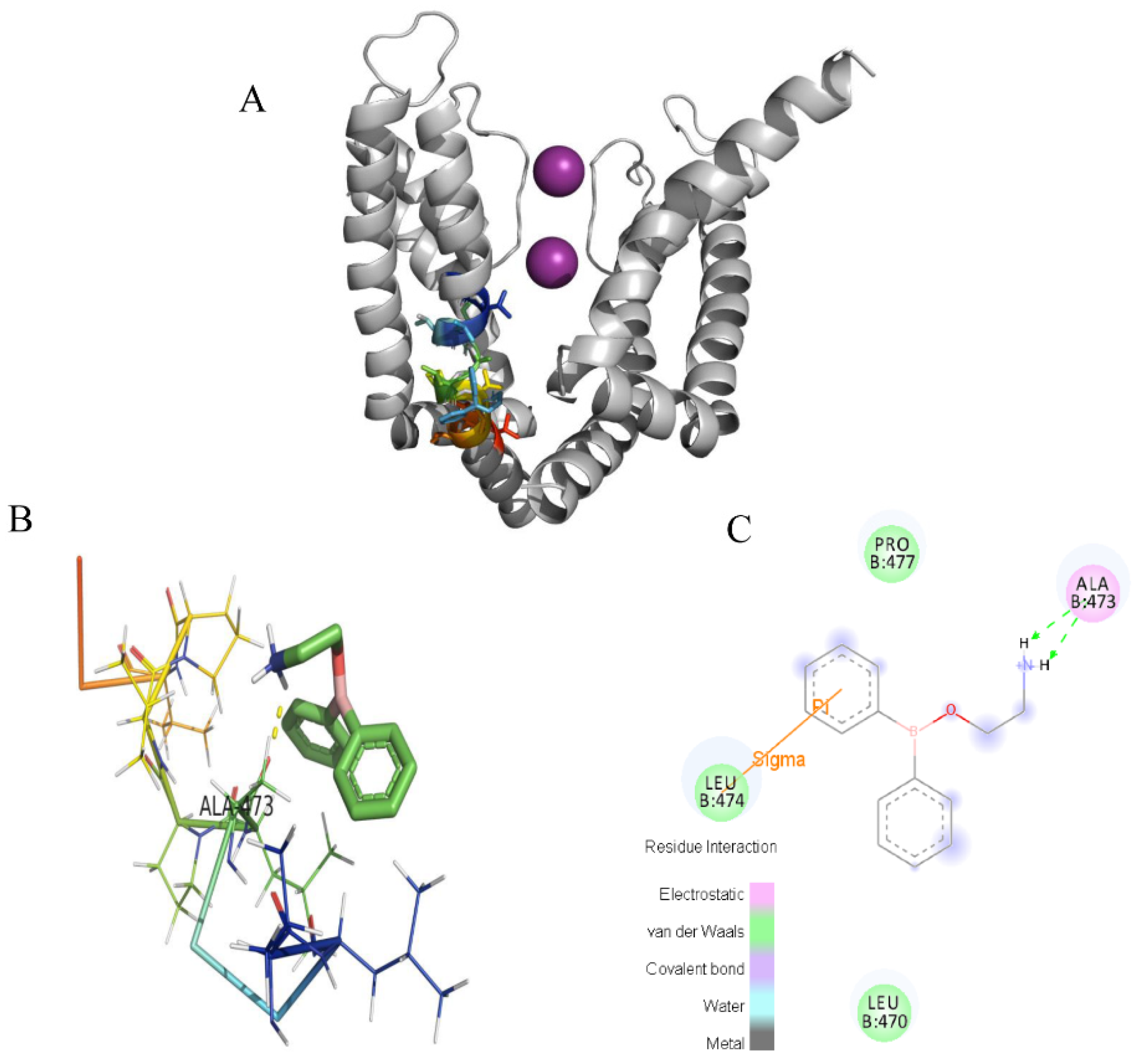 Molecules 28 00871 g011