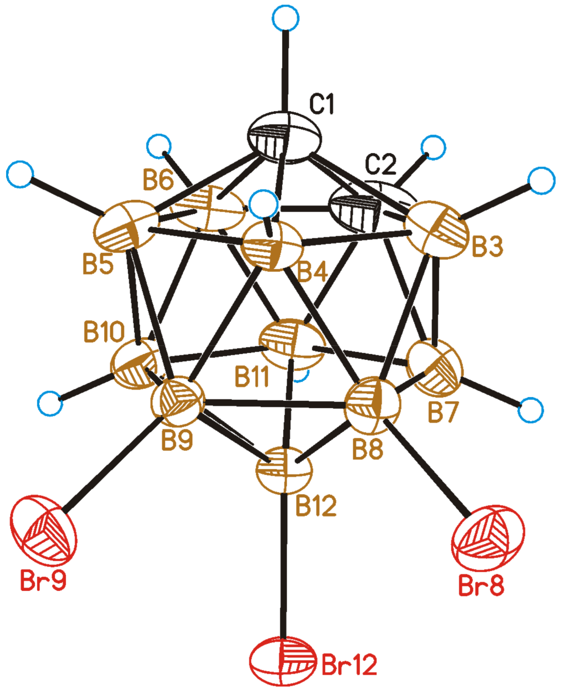 Molecules 28 00875 g004