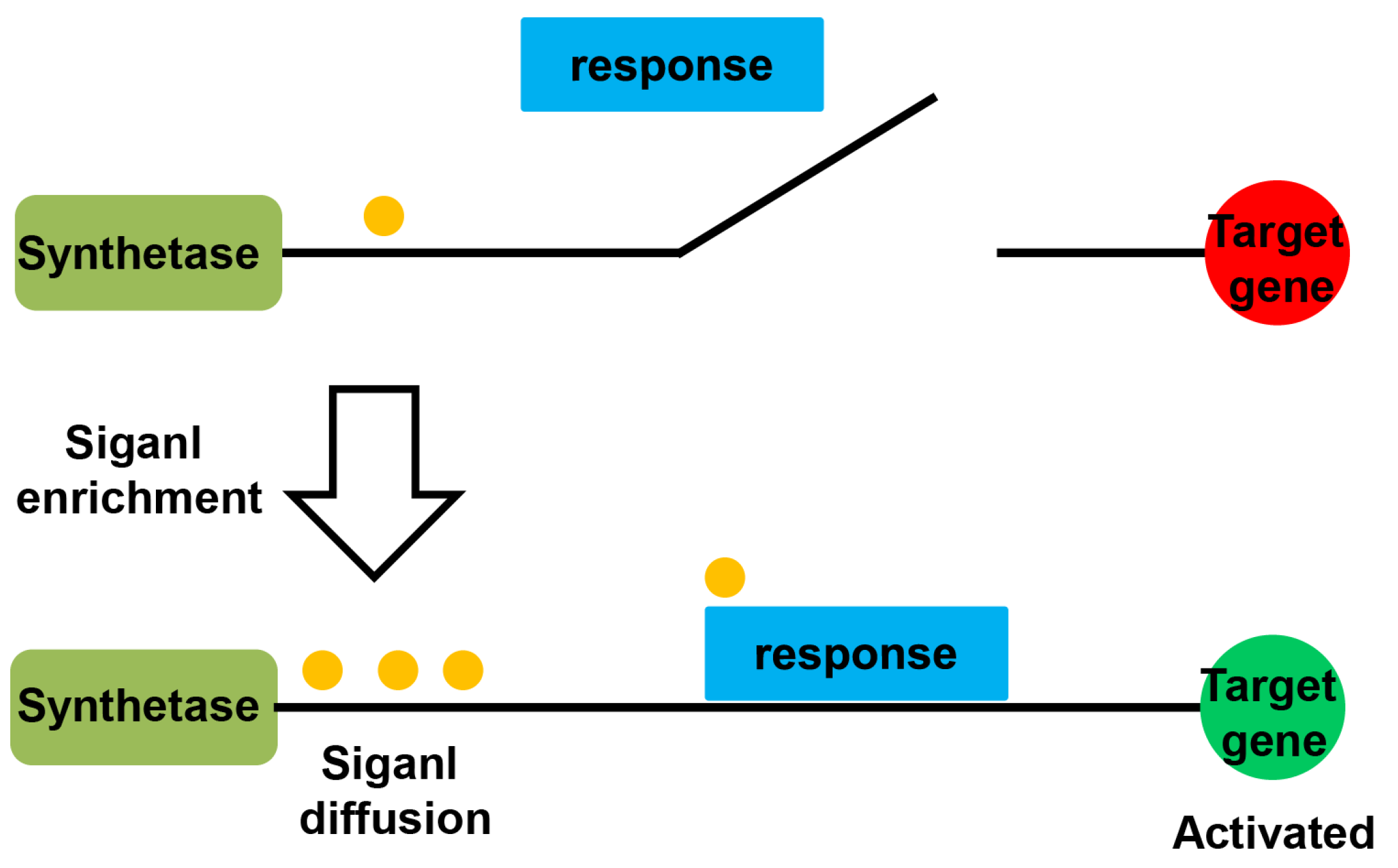 Molecules 28 00876 g001