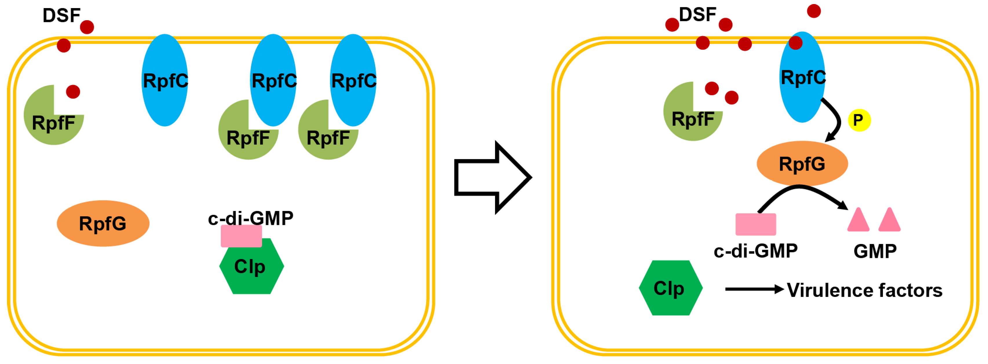Molecules 28 00876 g002