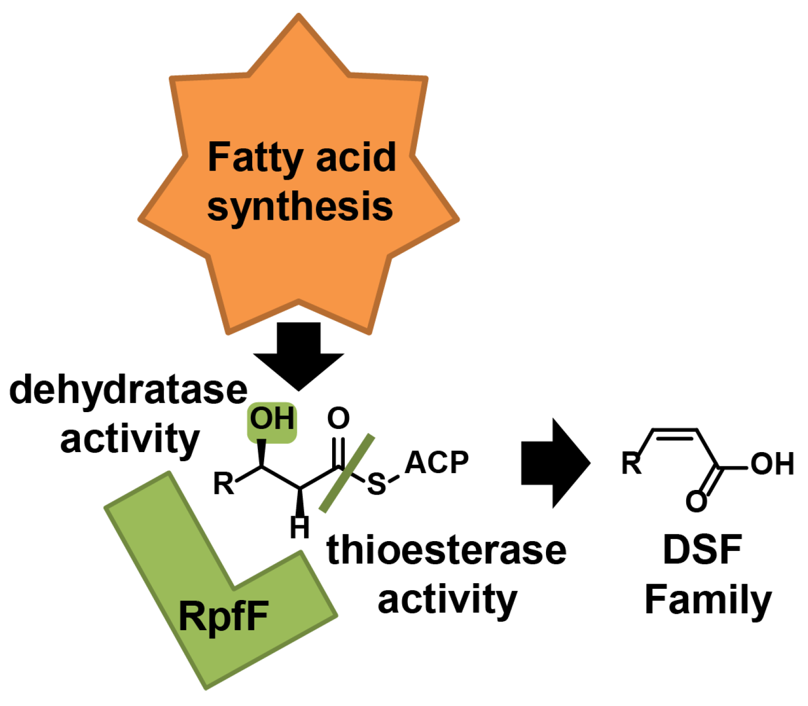 Molecules 28 00876 g003