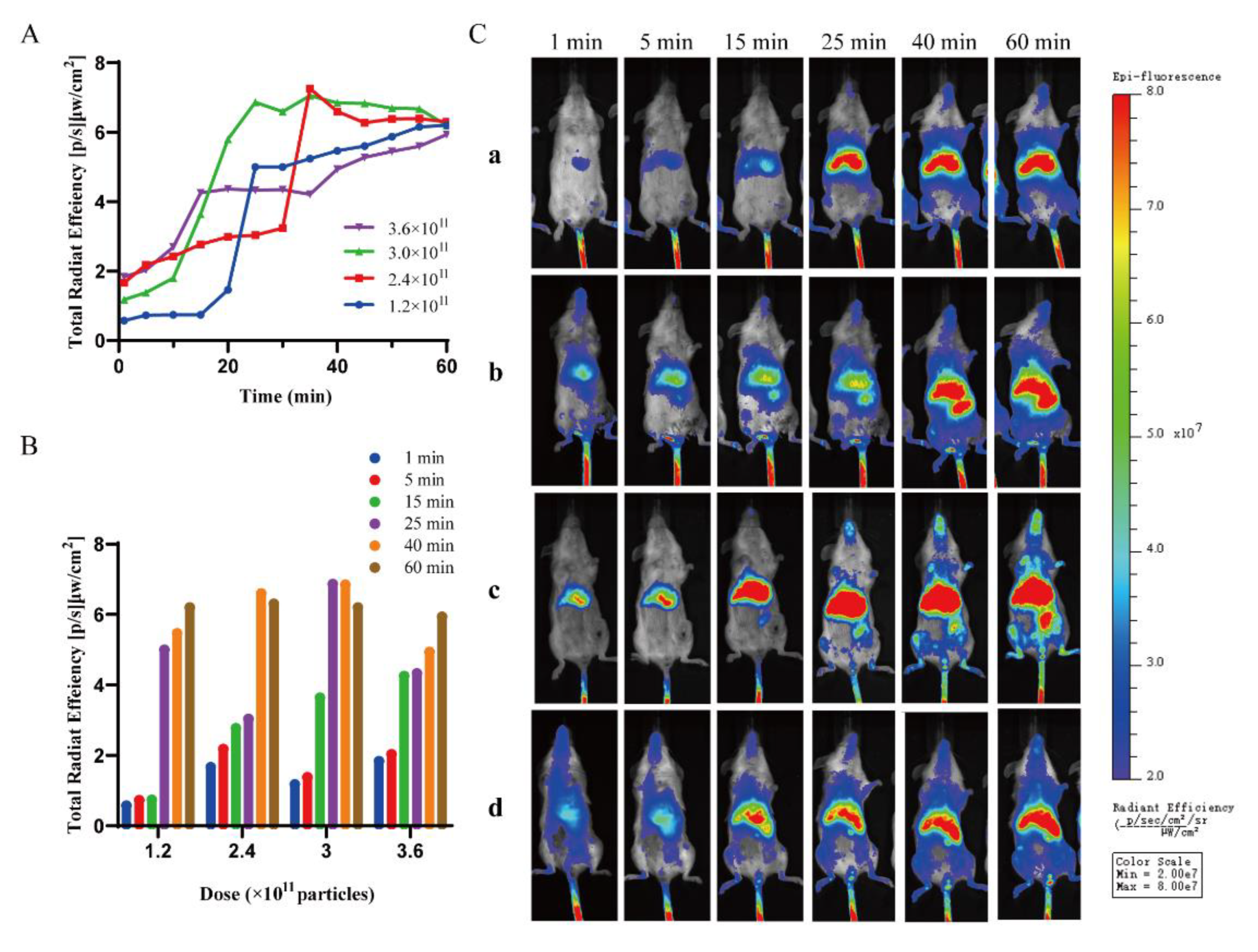 Molecules 28 00880 g003