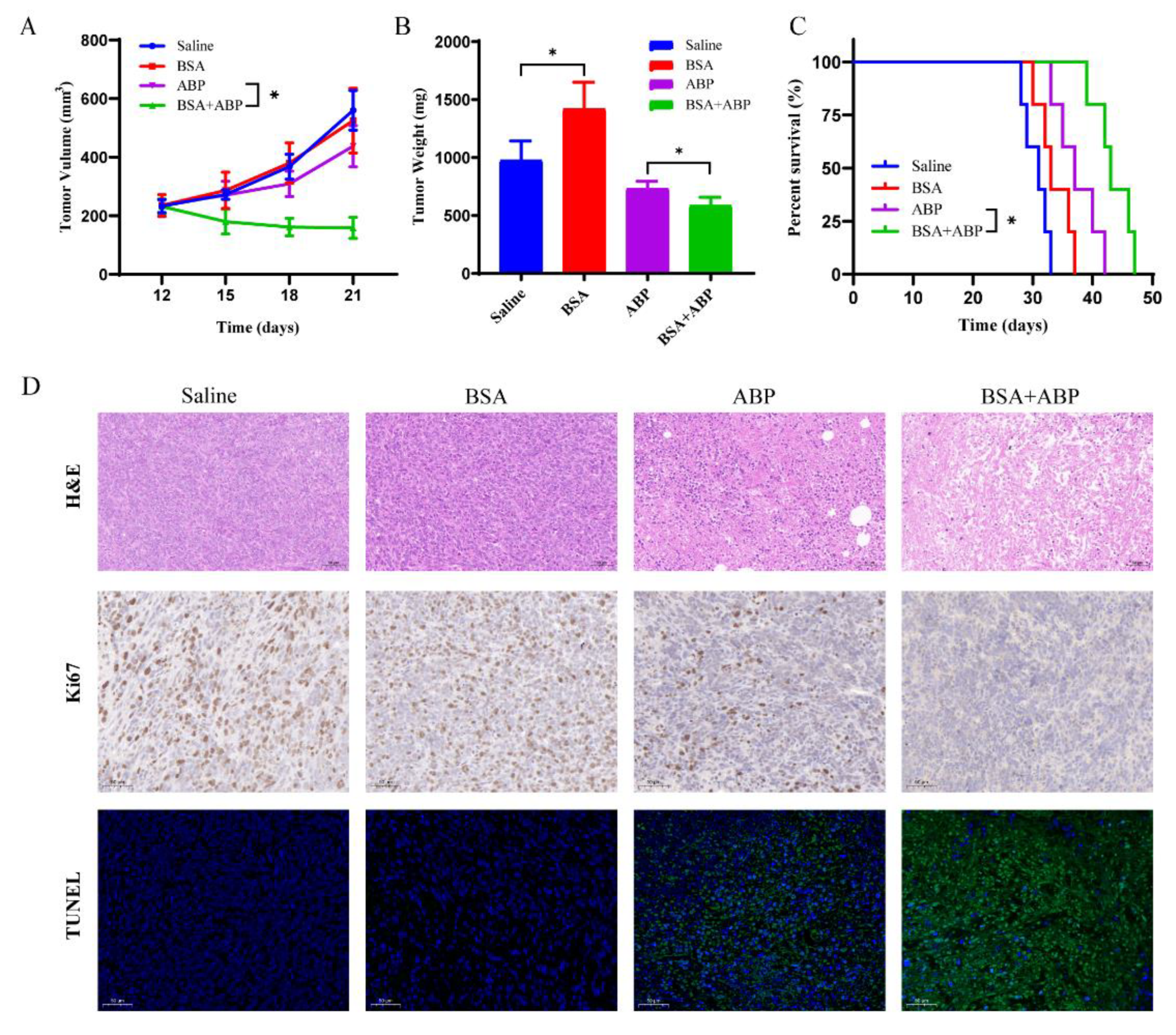 Molecules 28 00880 g004