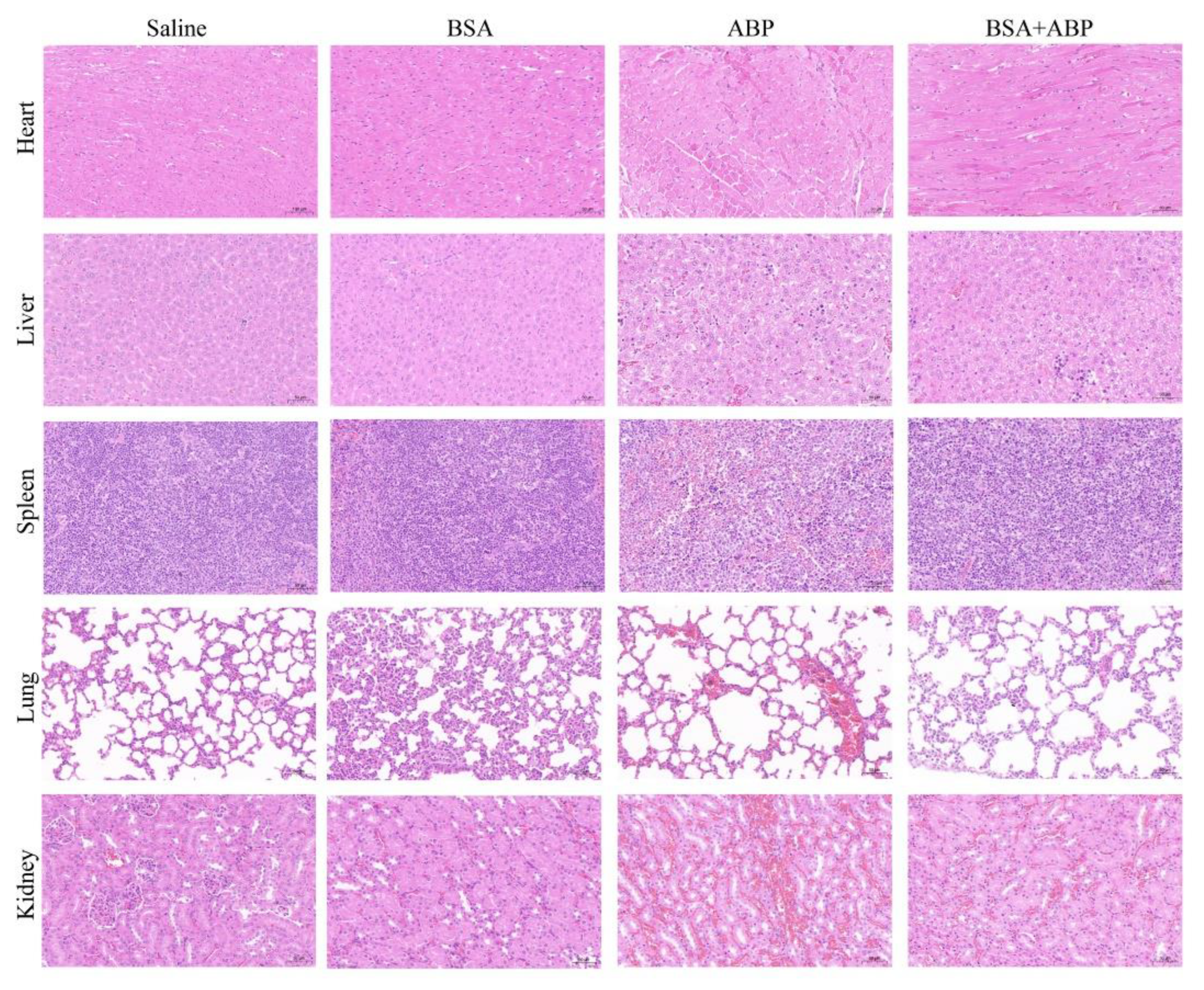Molecules 28 00880 g005