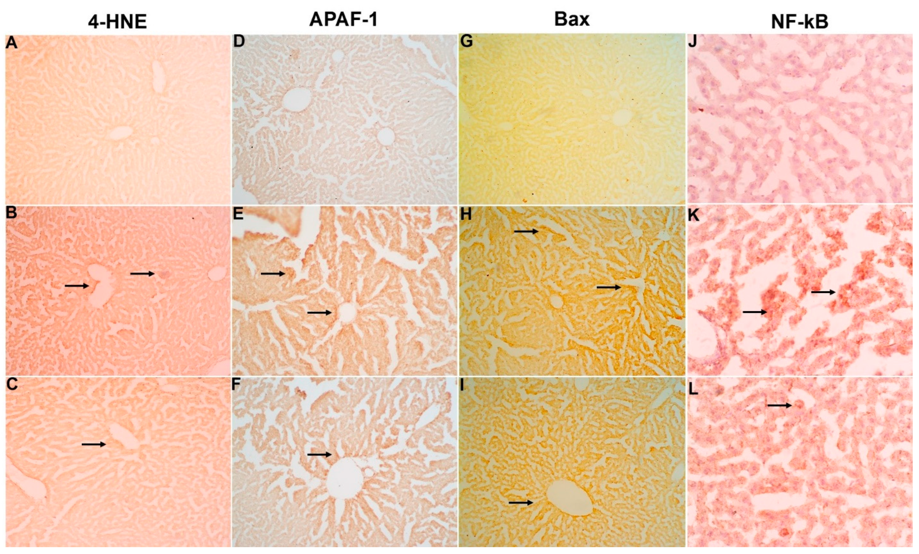 Molecules 28 00881 g005