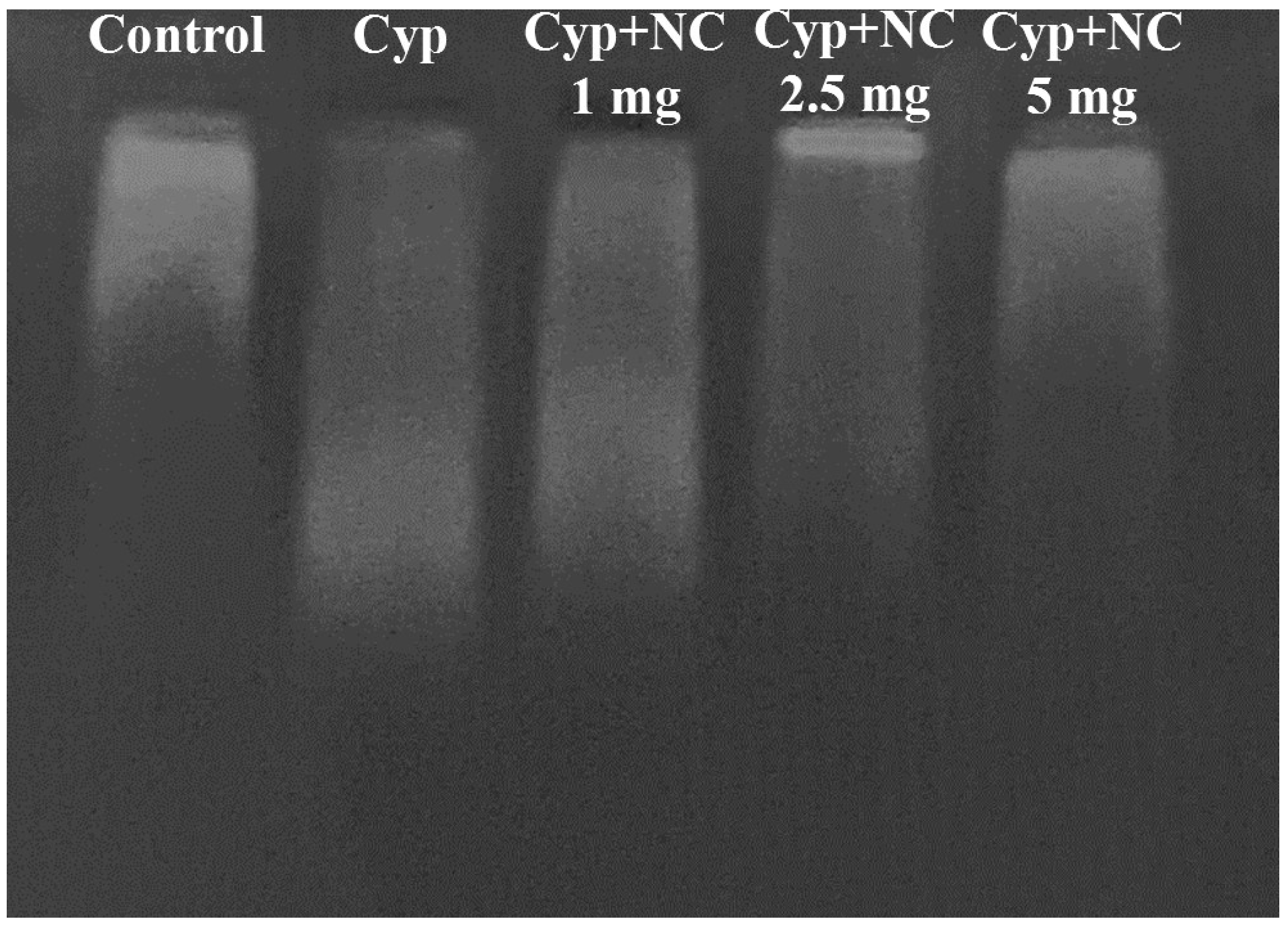 Molecules 28 00881 g007