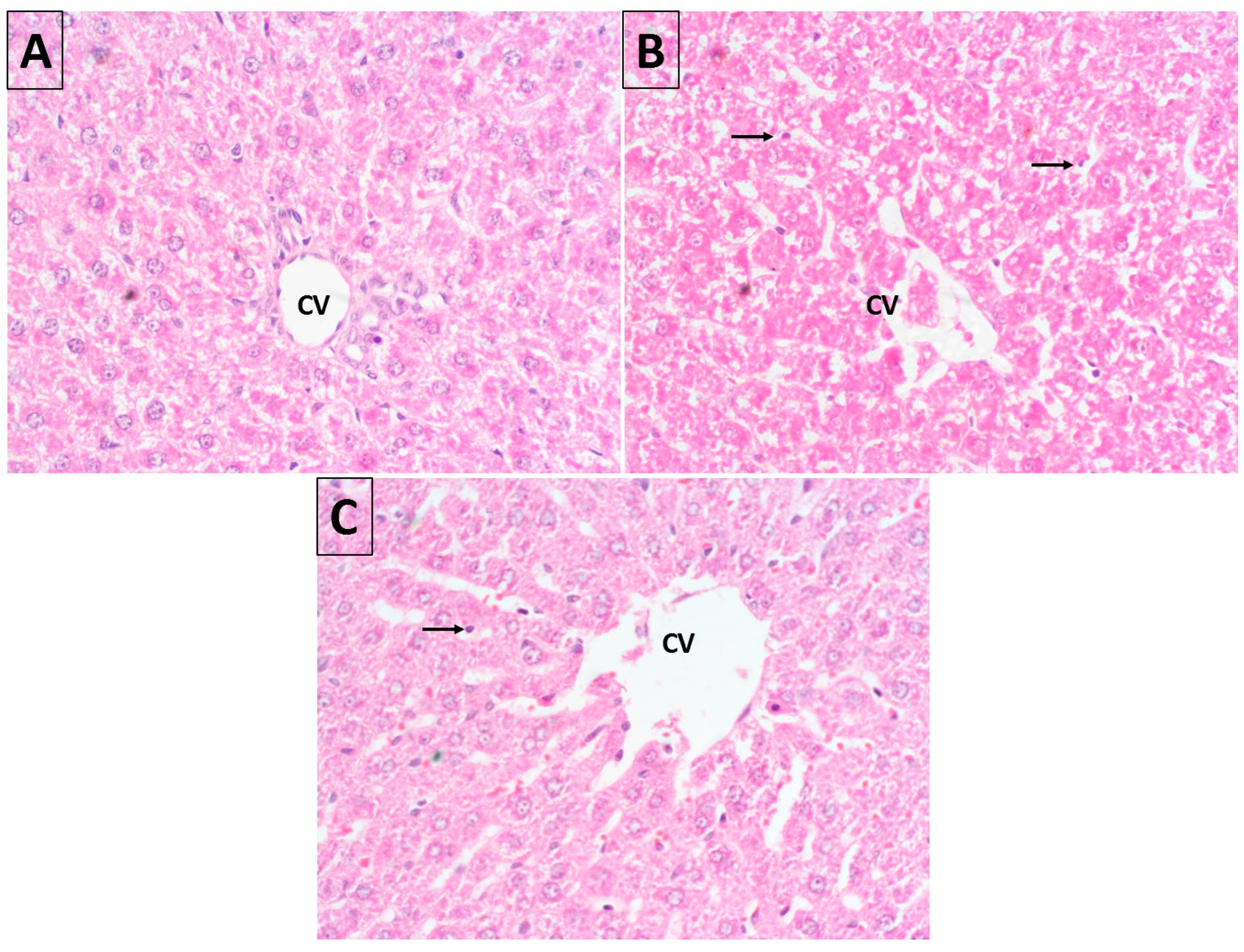 Molecules 28 00881 g008