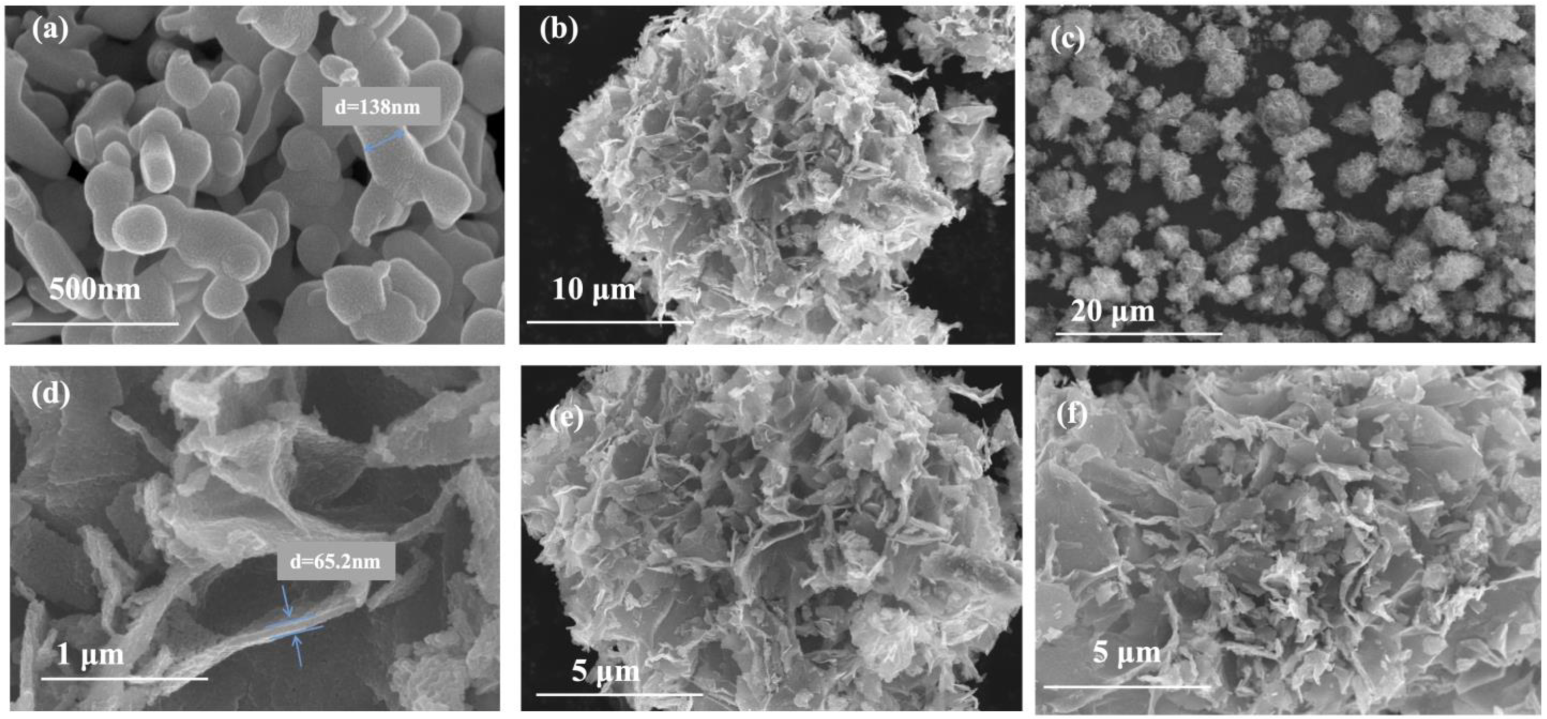 Molecules 28 00882 g002