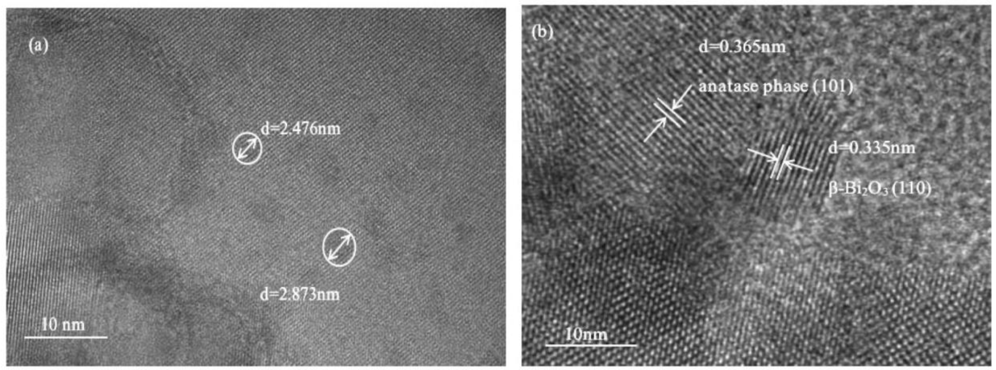 Molecules 28 00882 g003