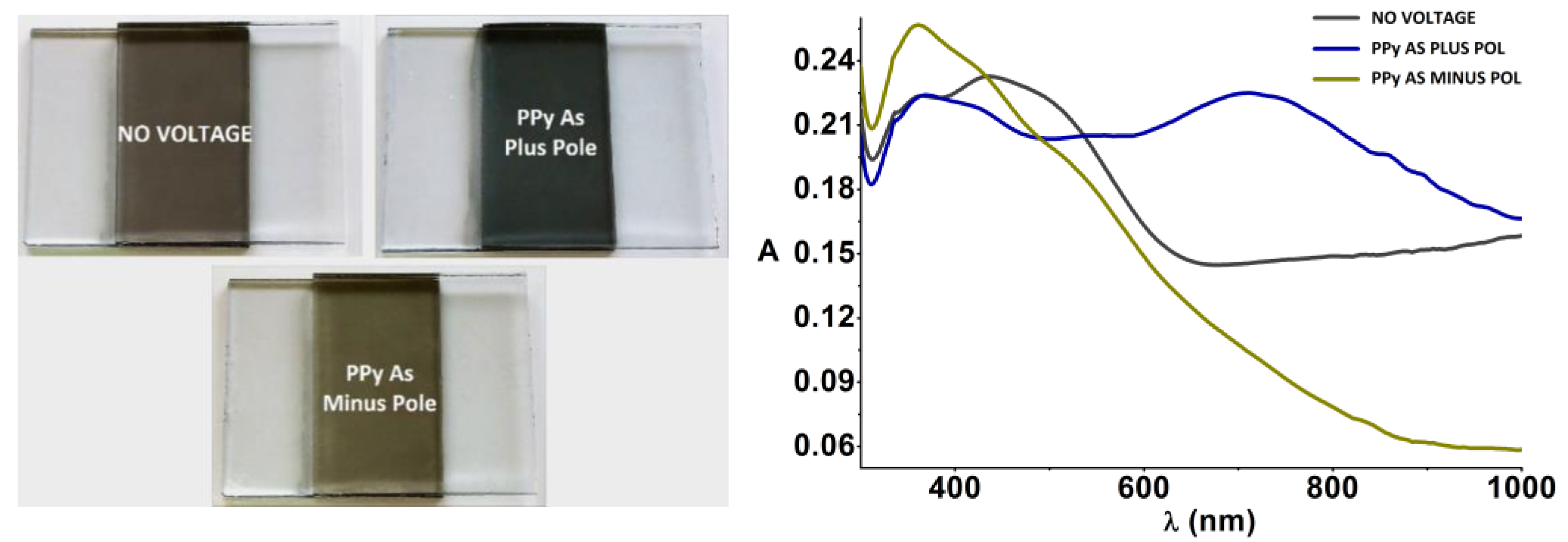 Molecules 28 00883 g006