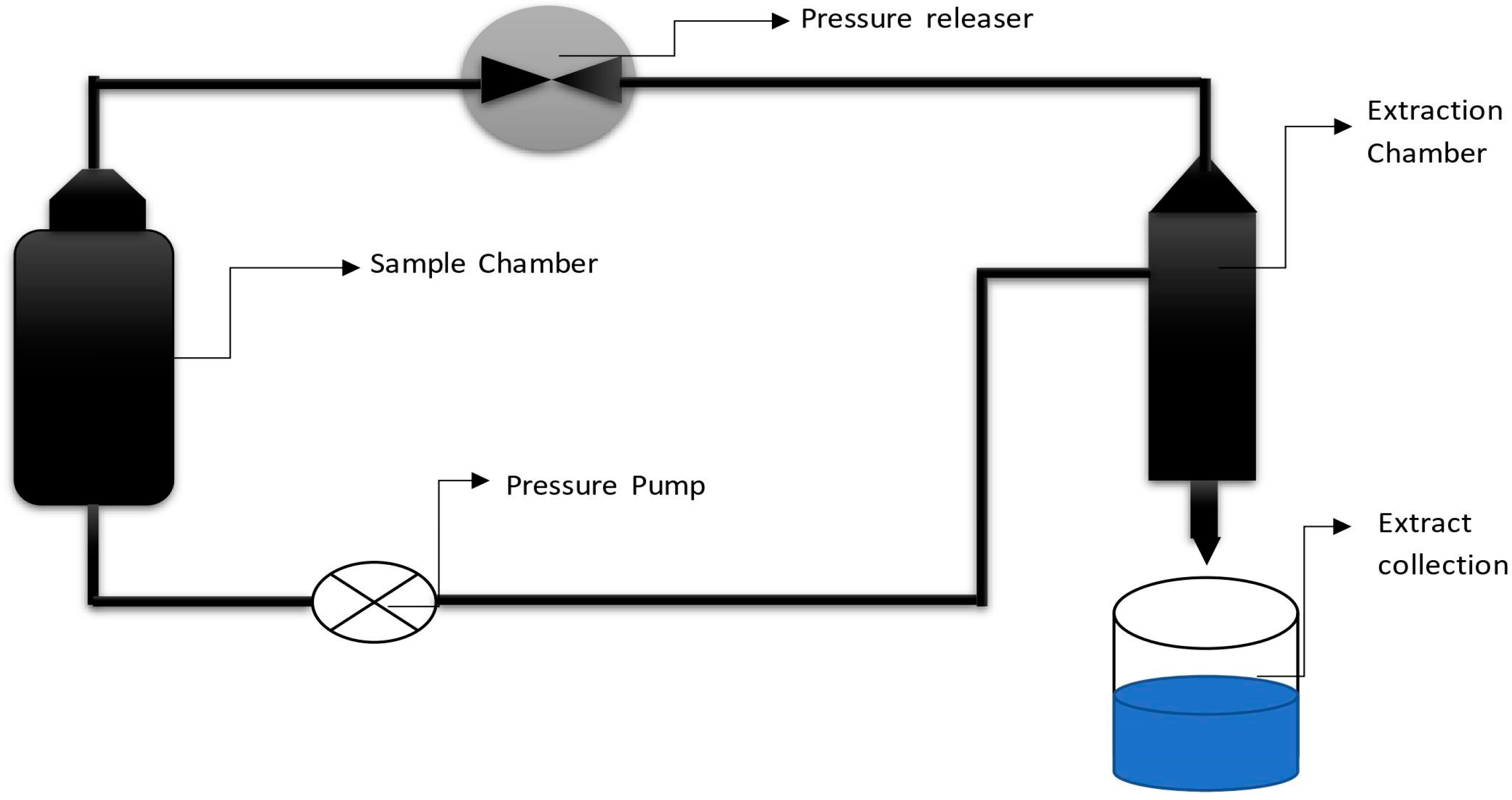 Molecules 28 00887 g011