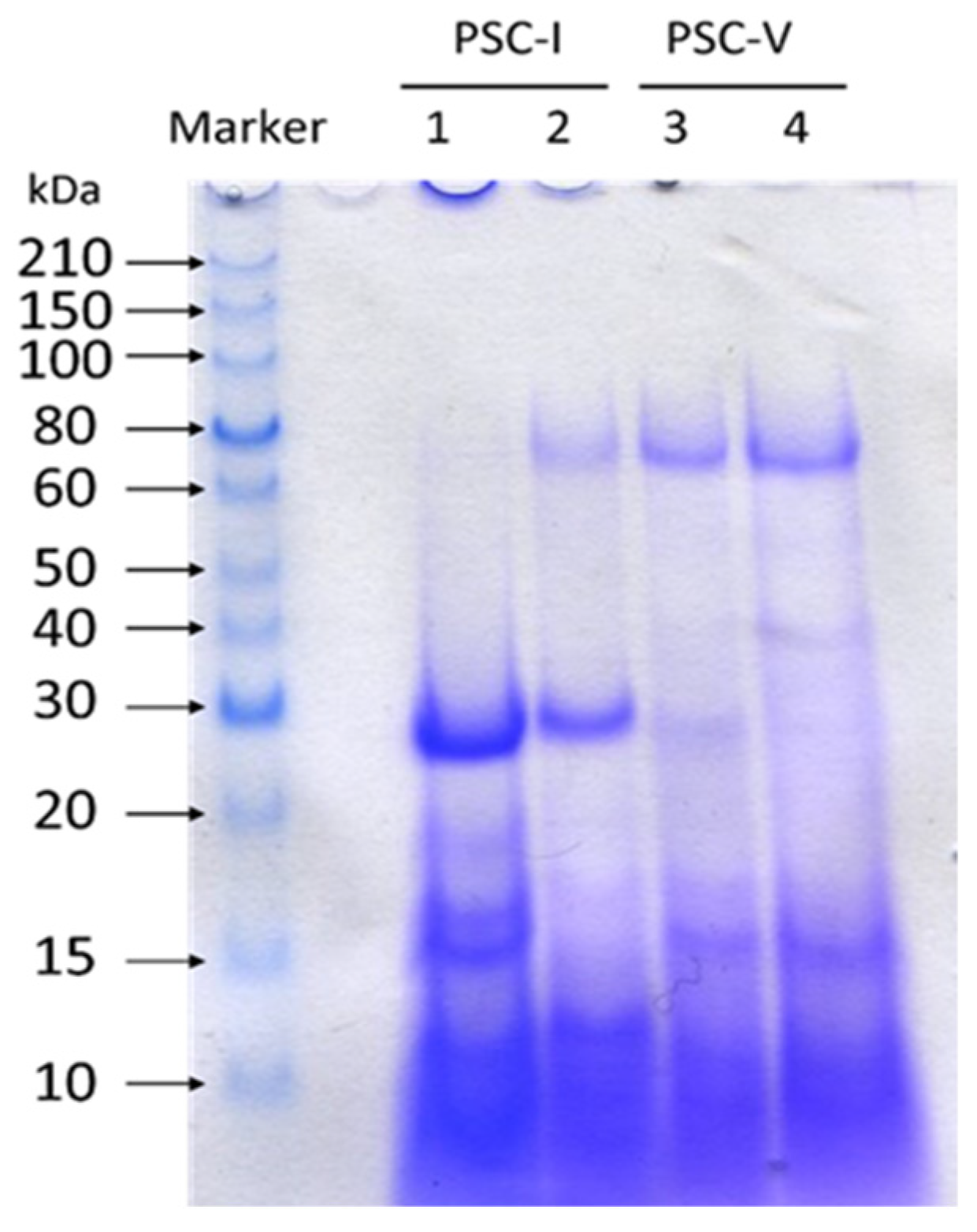 Molecules 28 00889 g002
