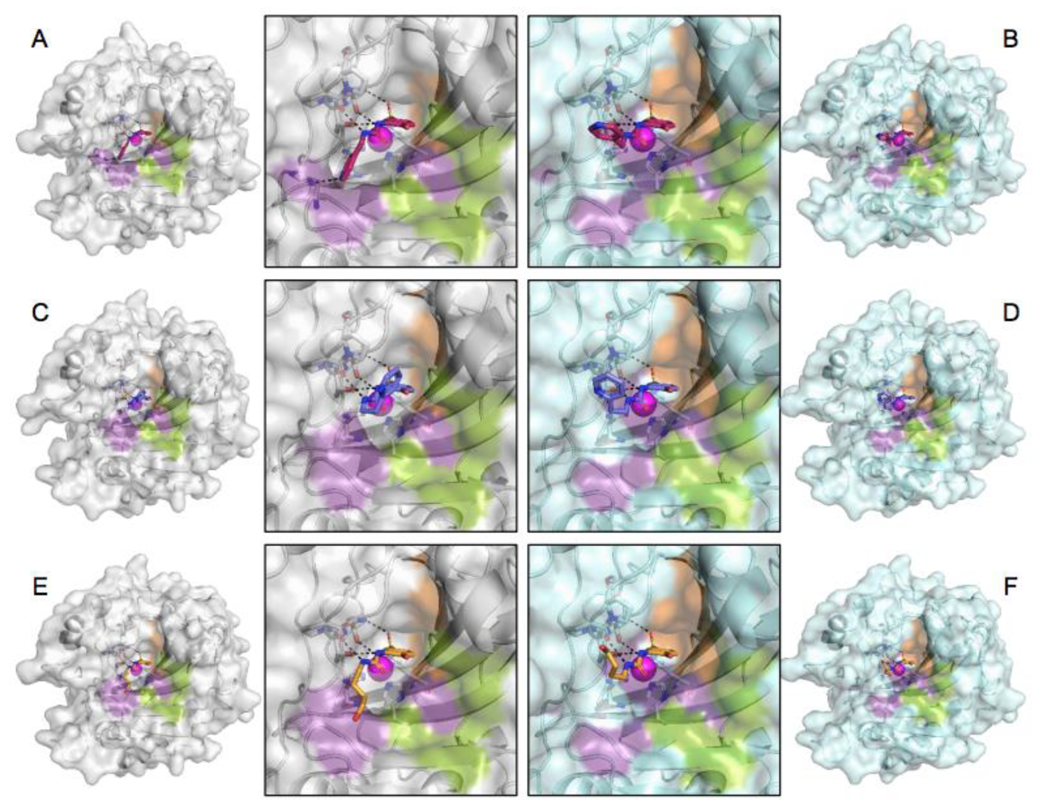 Molecules 28 00890 g003