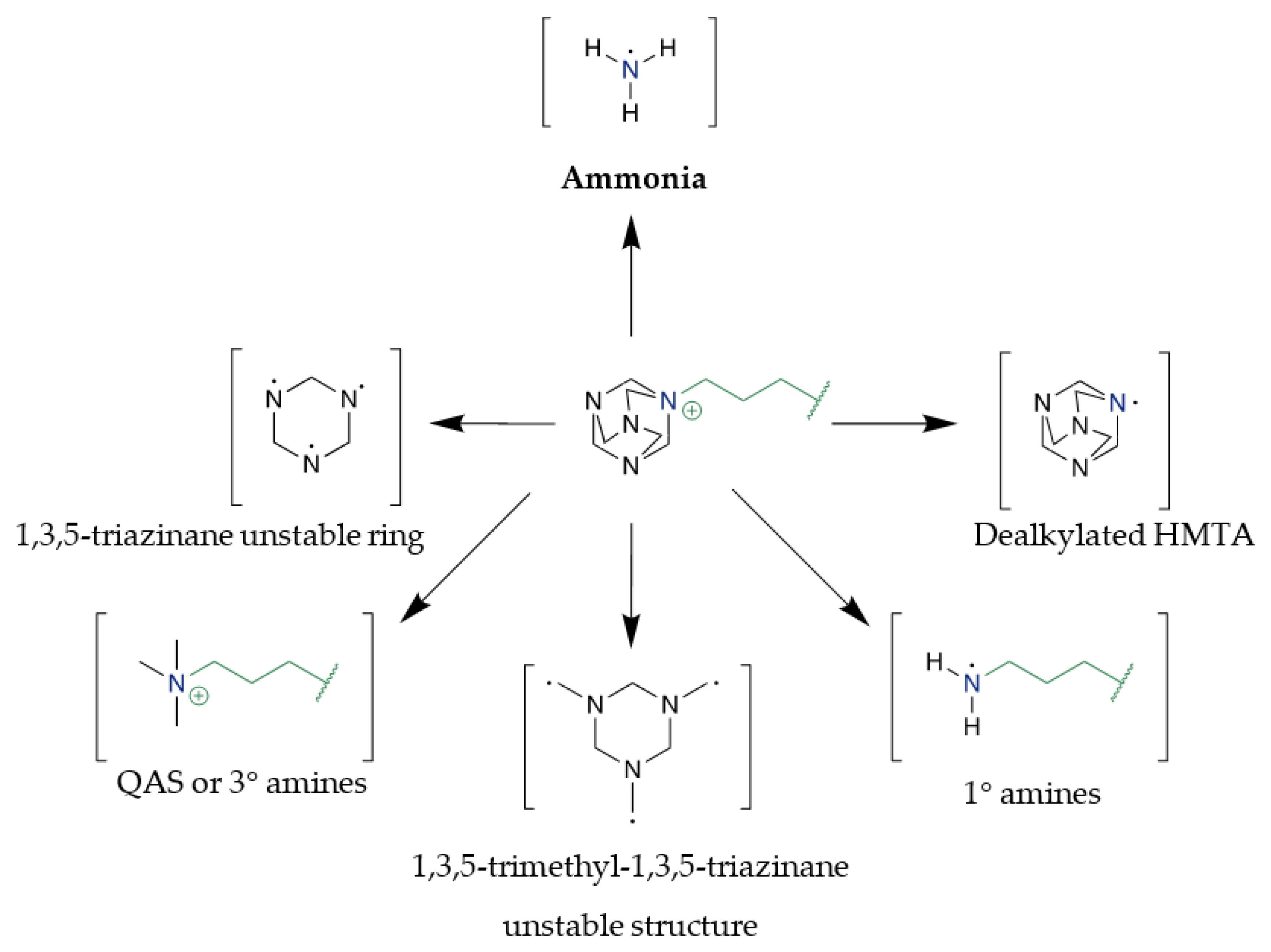 Molecules 28 00892 g004 Molecules 28 00892 g004