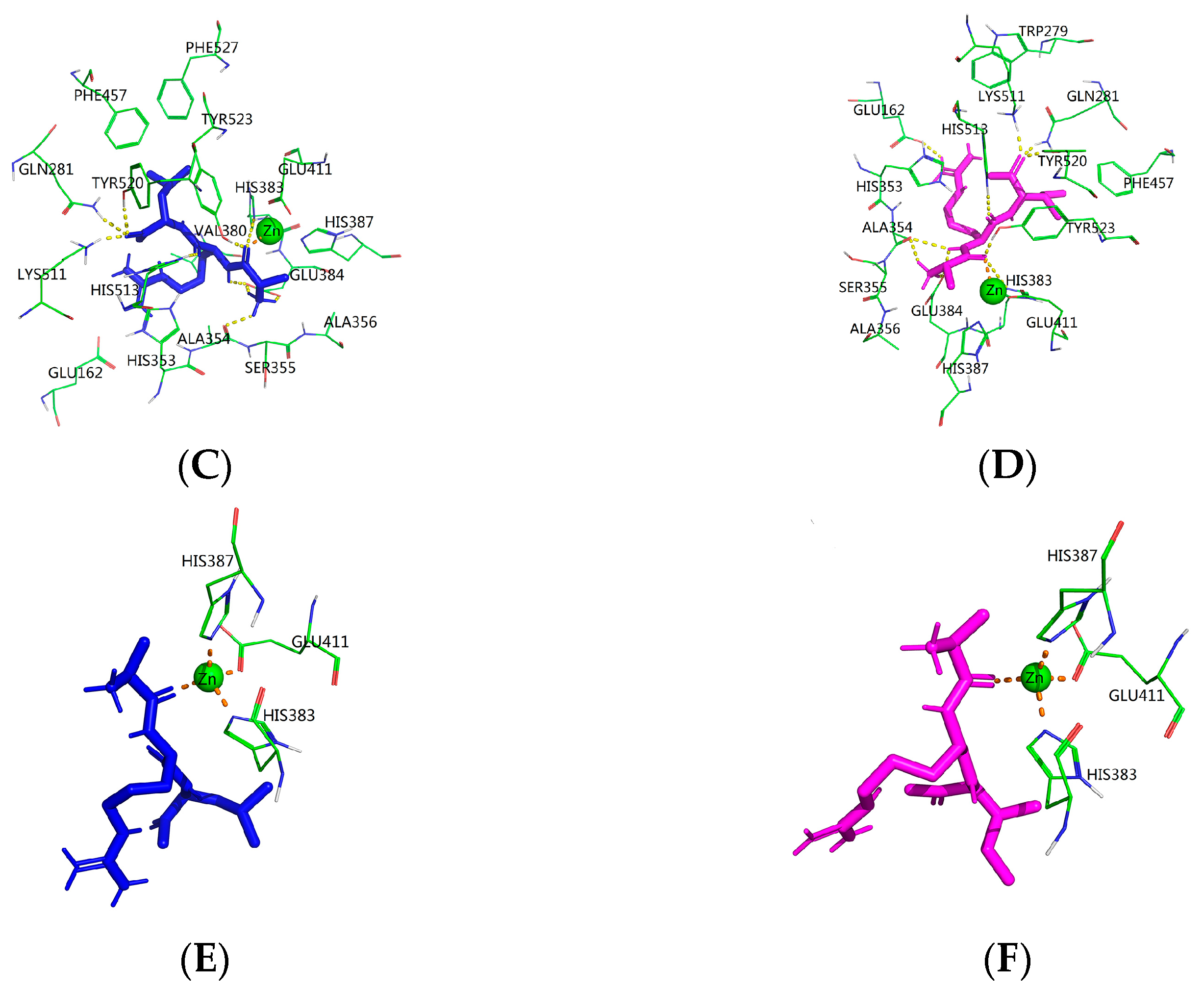Molecules 28 00894 g006b
