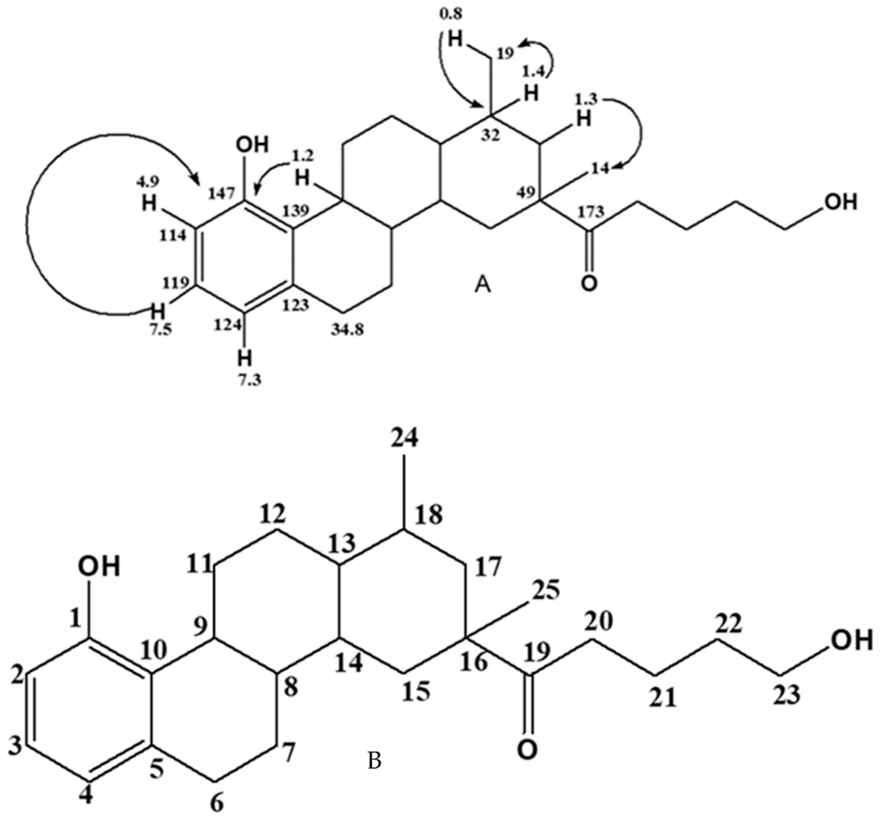 Molecules 28 00899 g001
