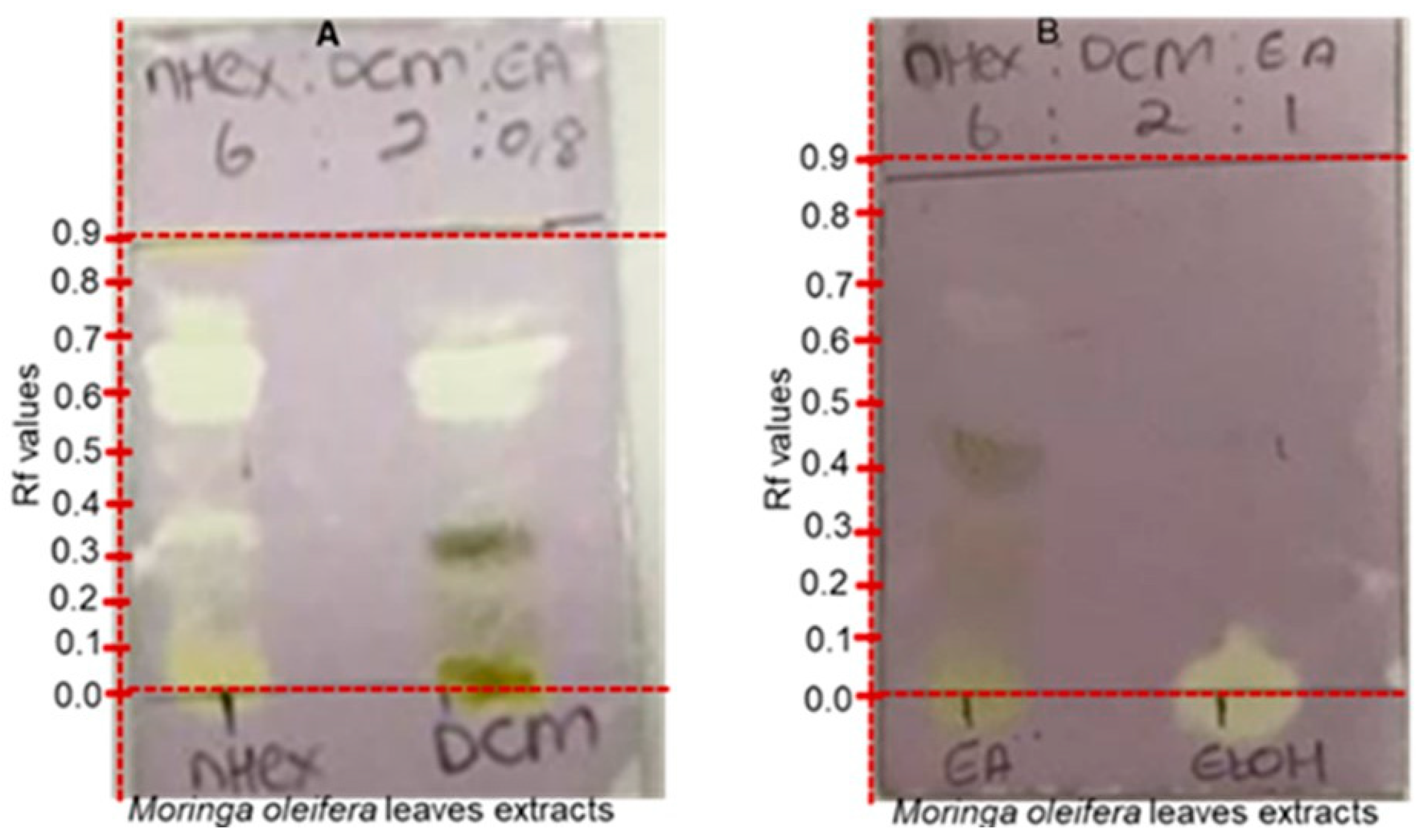 Molecules 28 00899 g007