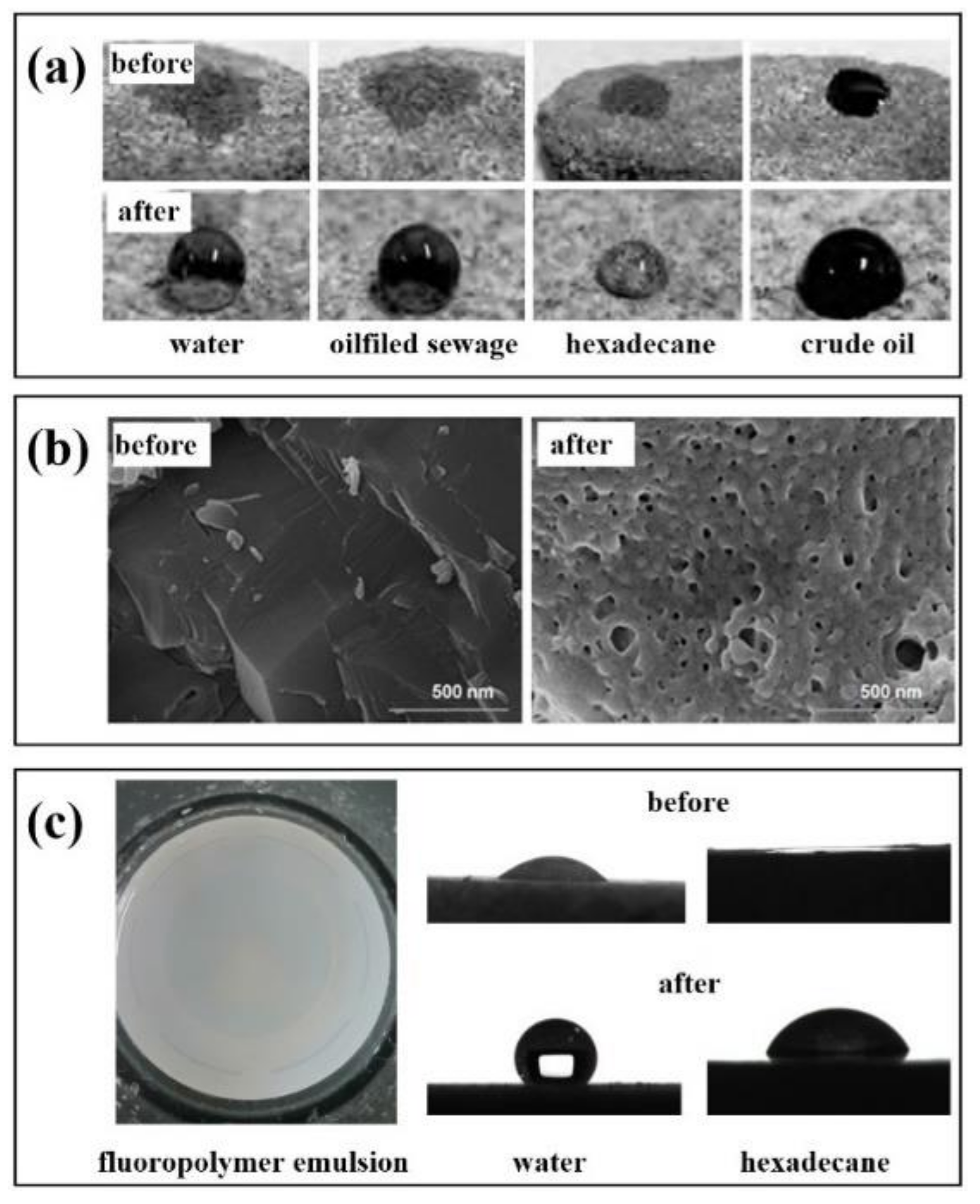 Molecules 28 00905 g005