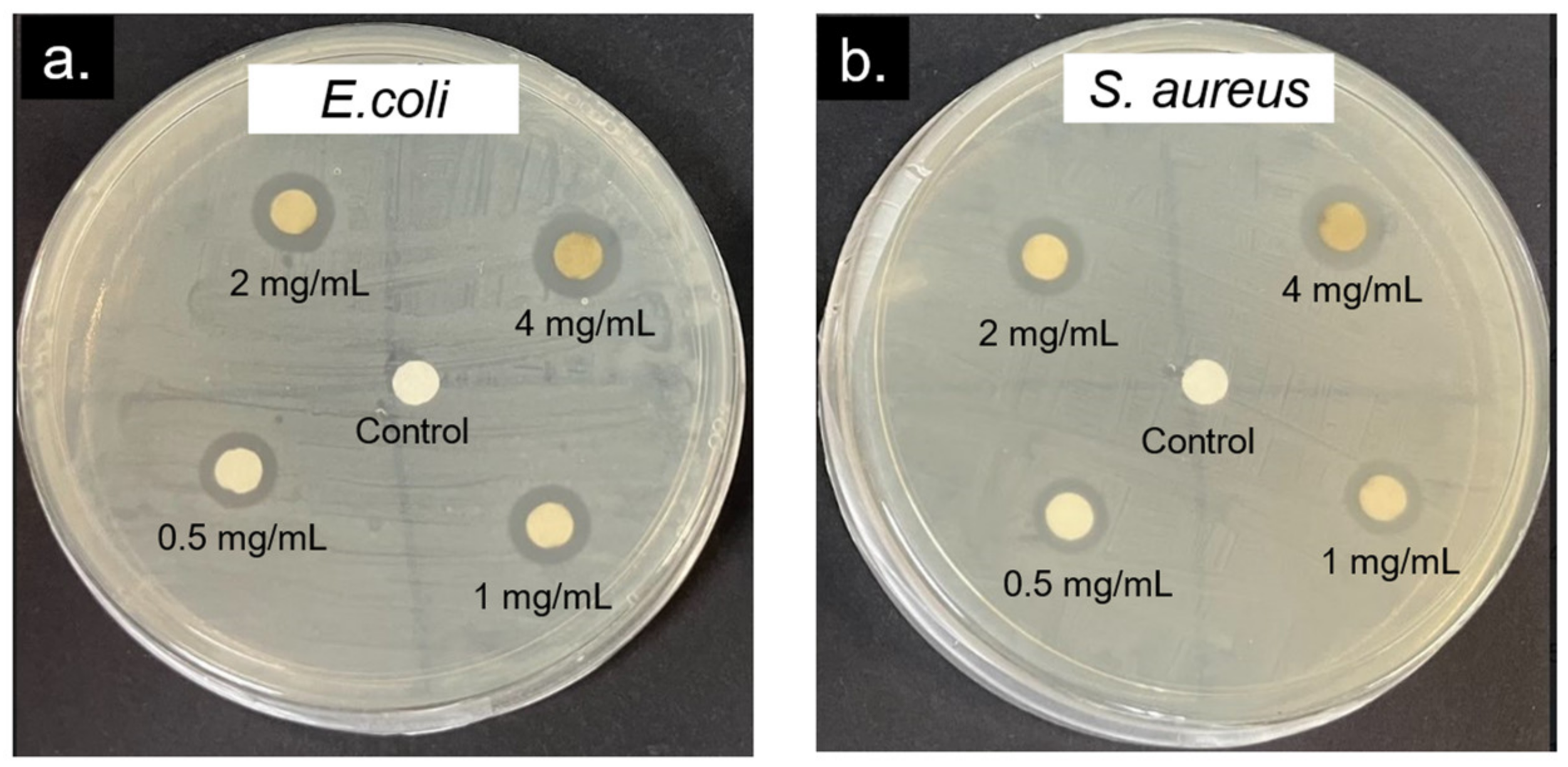 Molecules 28 00907 g008