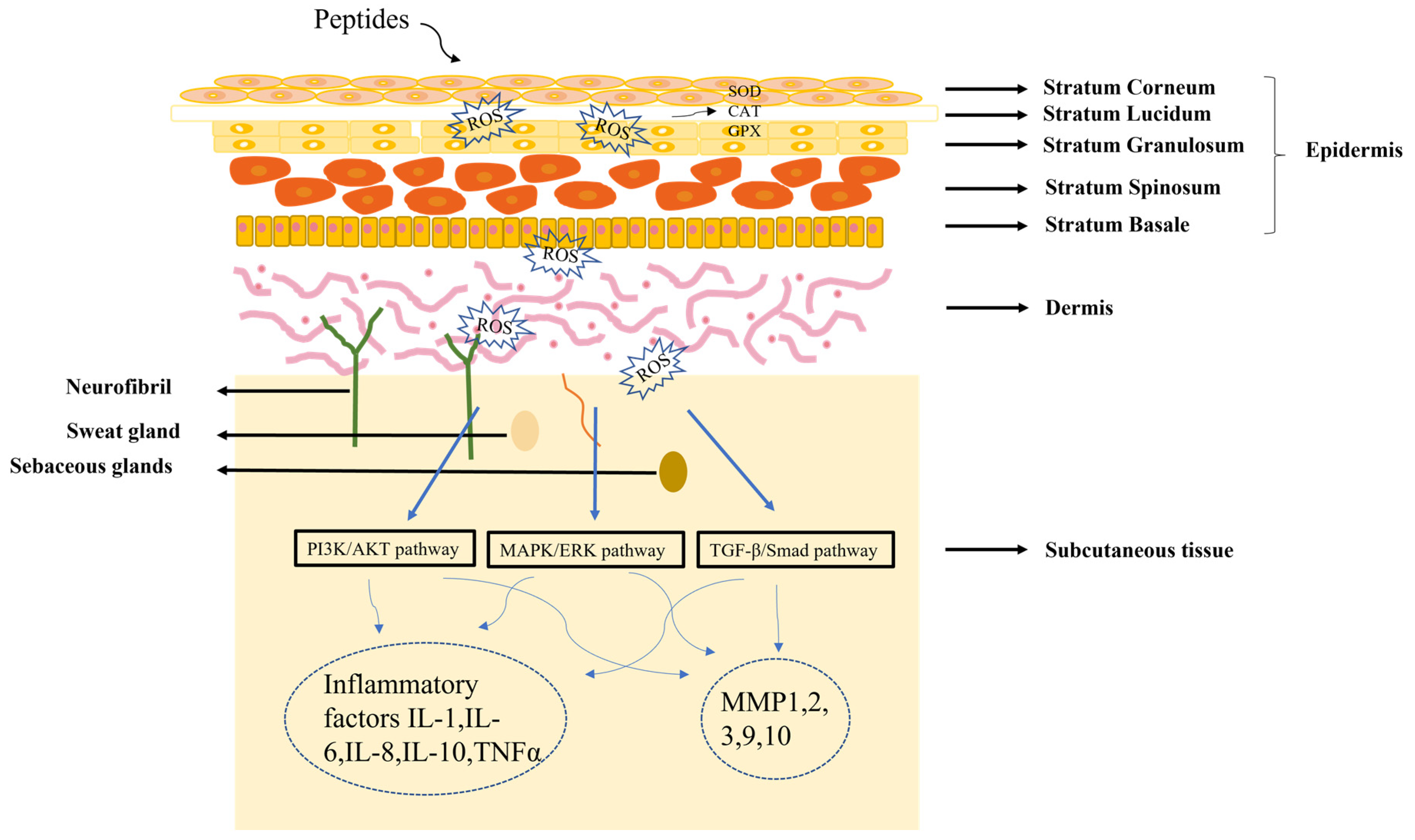 Molecules 28 00908 g002