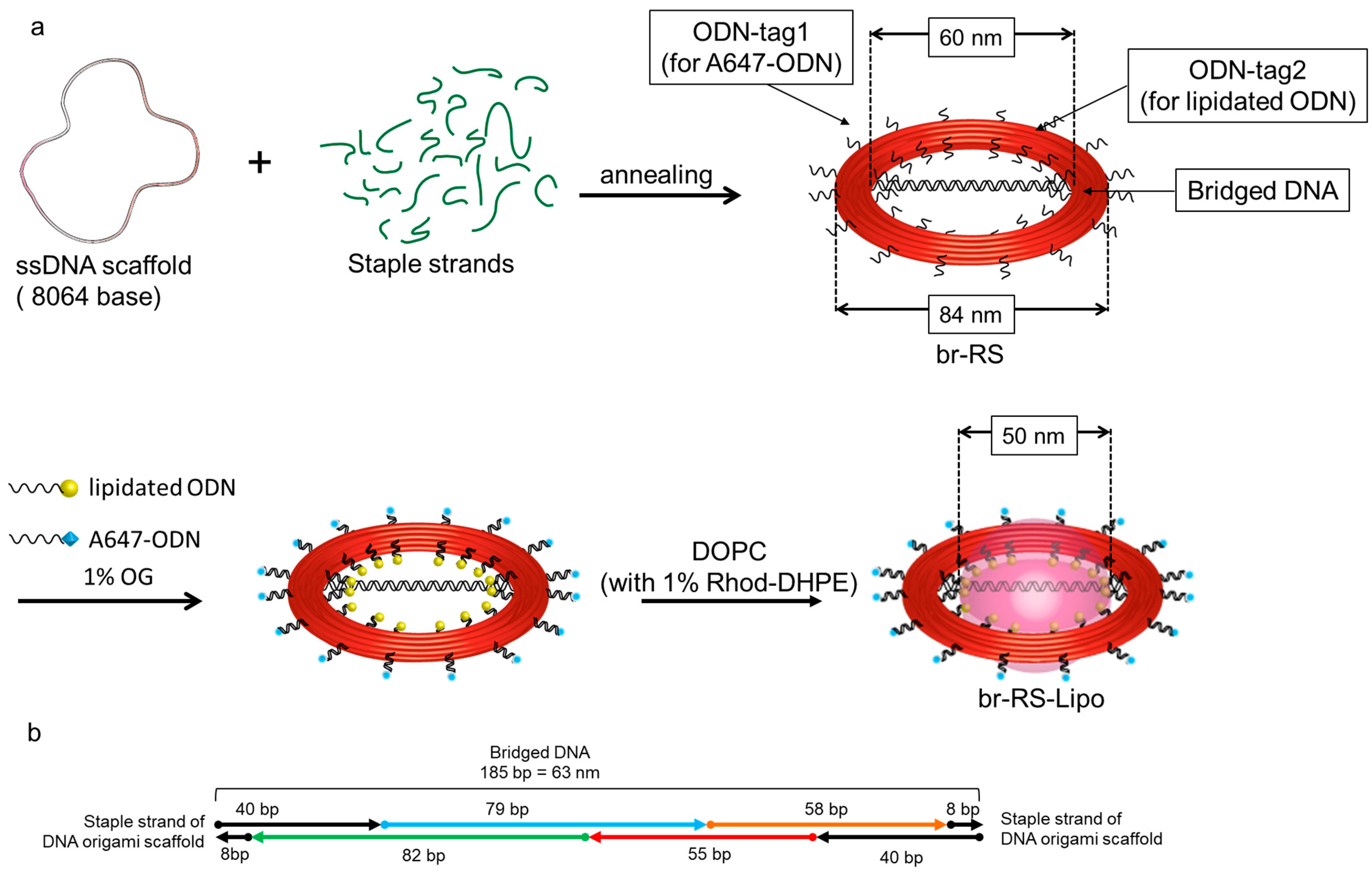 Molecules 28 00911 g001 Molecules 28 00911 g001