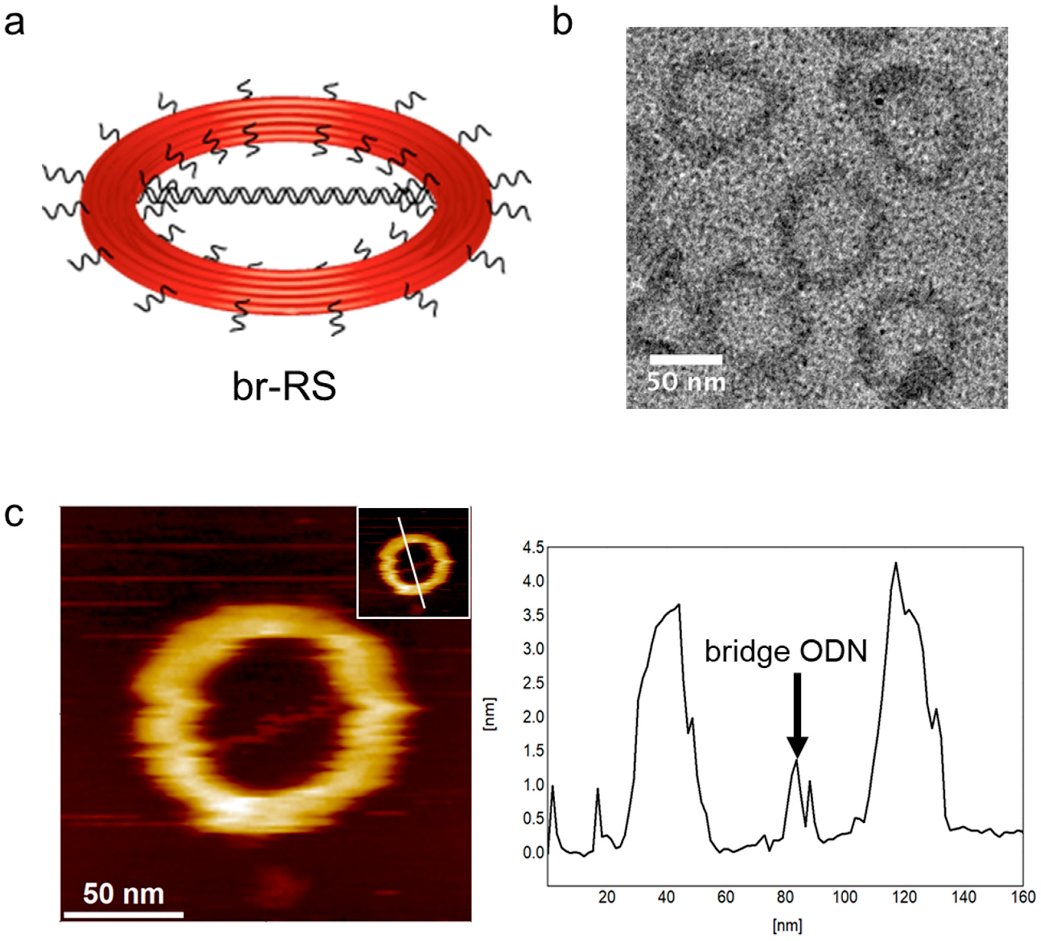 Molecules 28 00911 g002 Molecules 28 00911 g002
