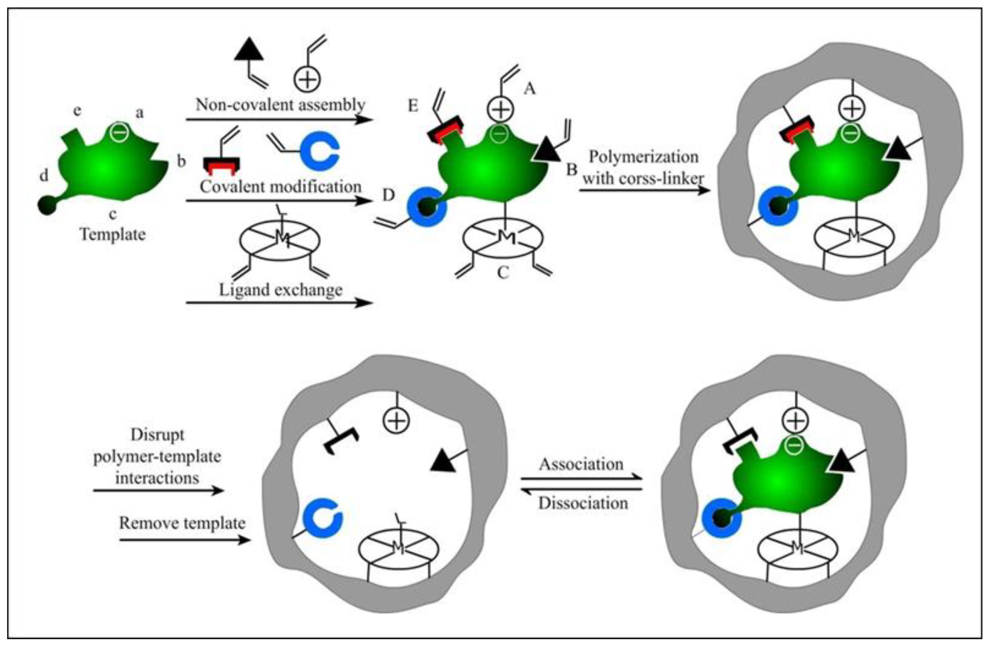 Molecules 28 00918 g001