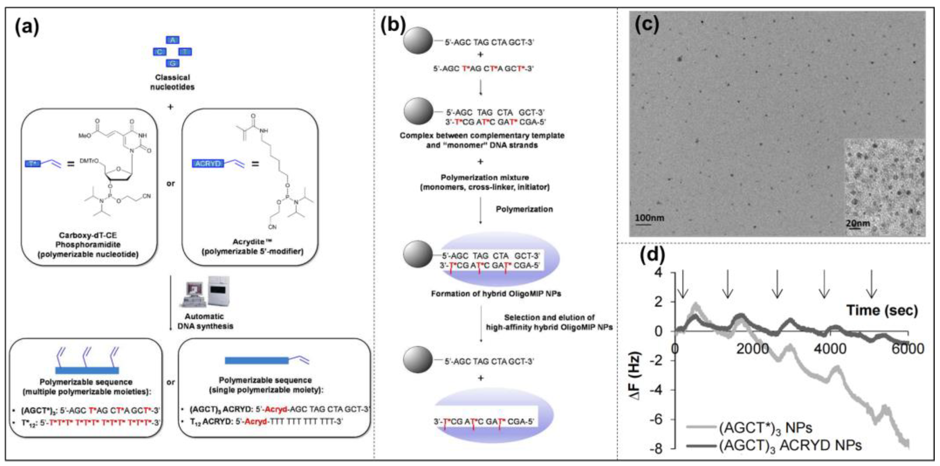 Molecules 28 00918 g003