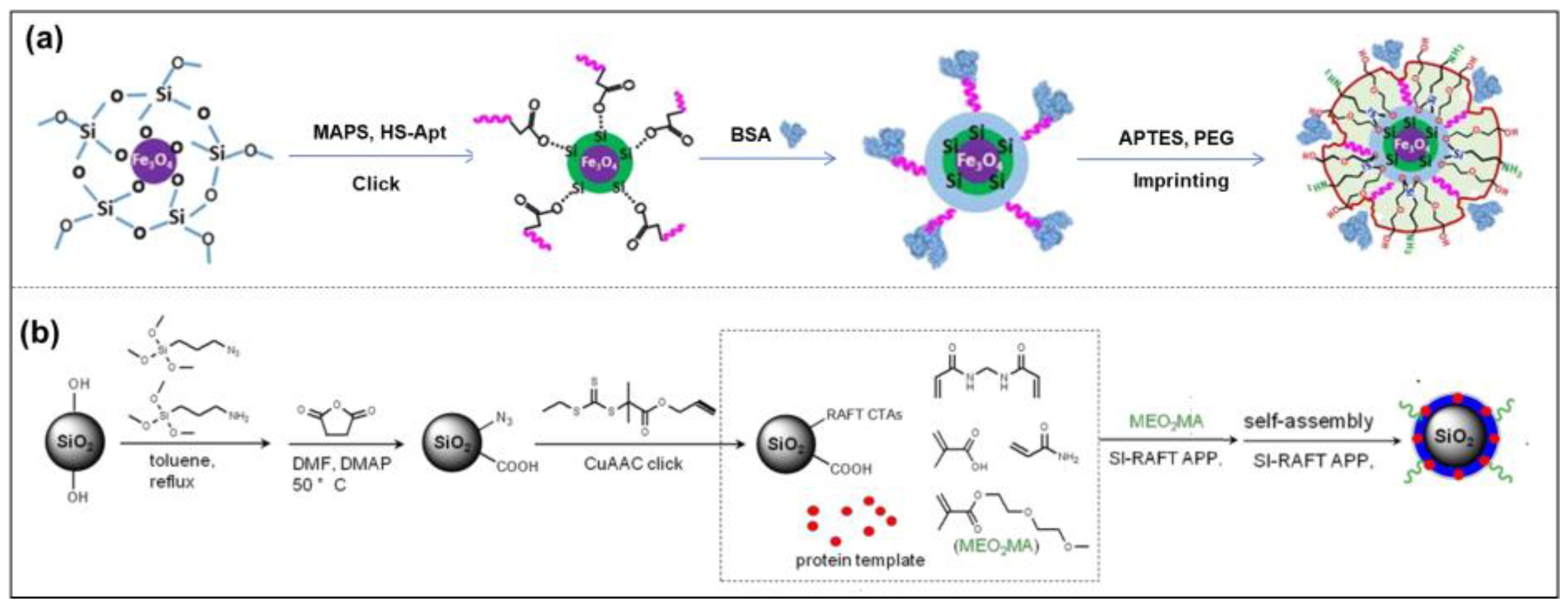 Molecules 28 00918 g004