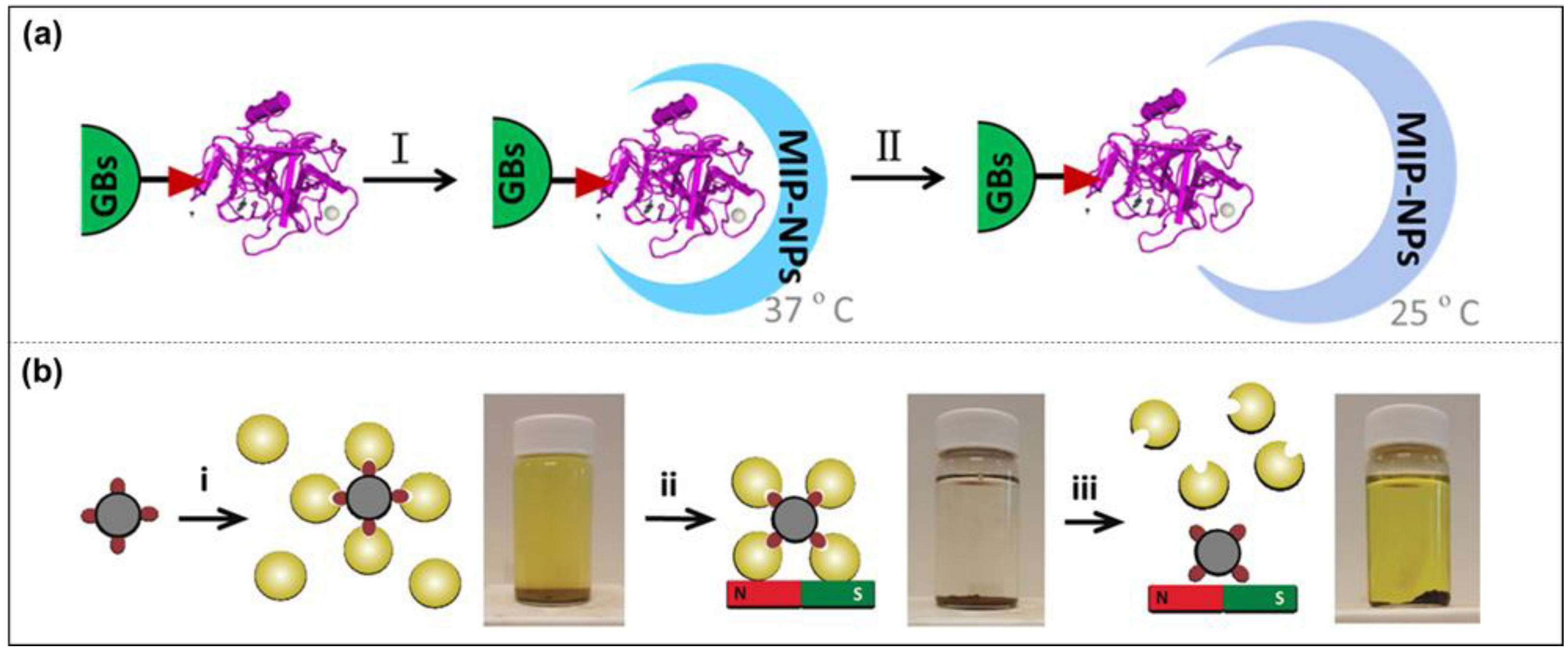 Molecules 28 00918 g006