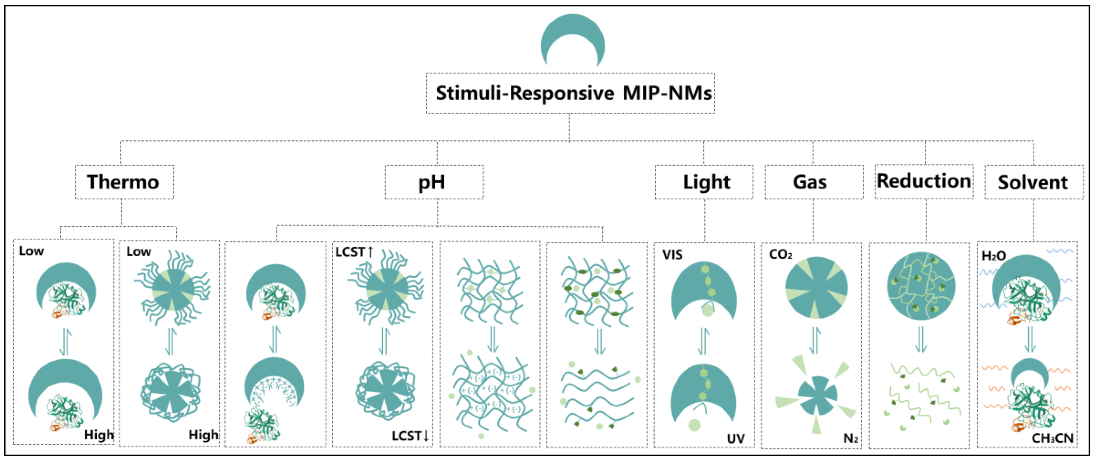 Molecules 28 00918 g007
