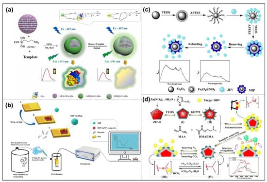 Molecules 28 00918 g009
