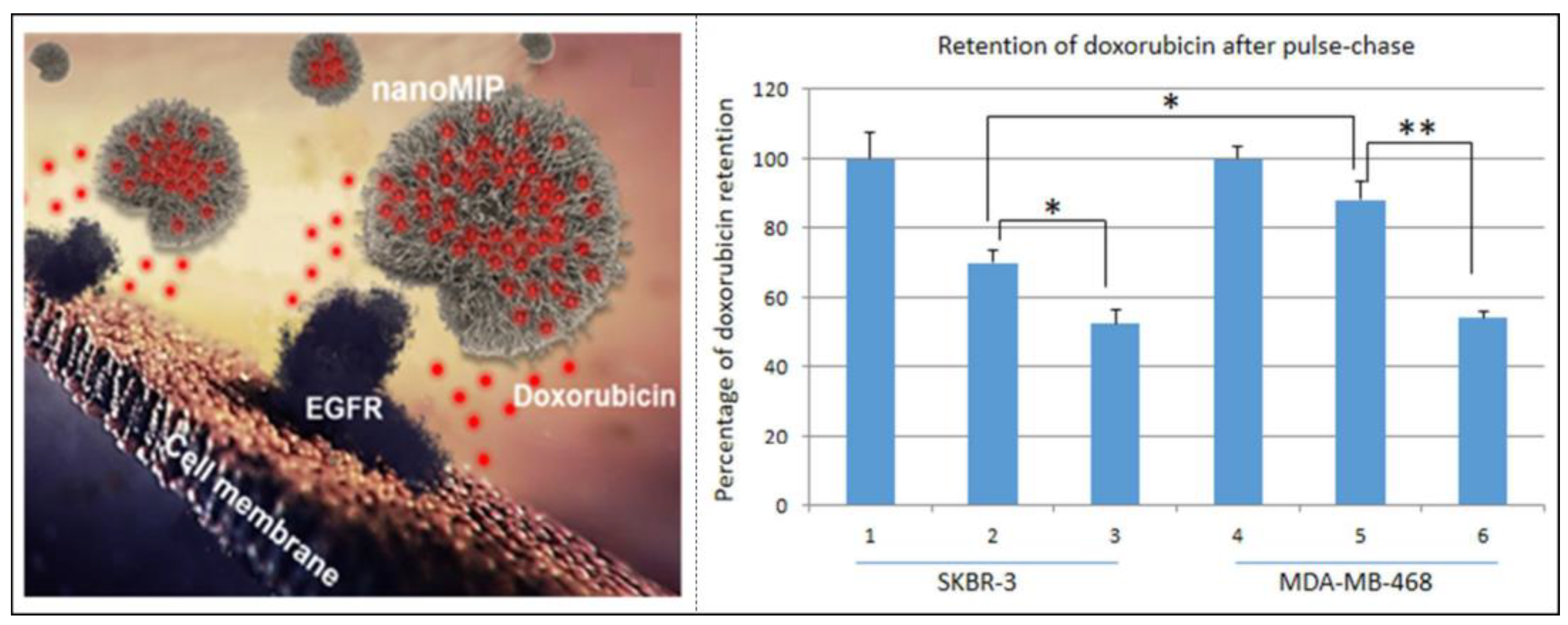 Molecules 28 00918 g011