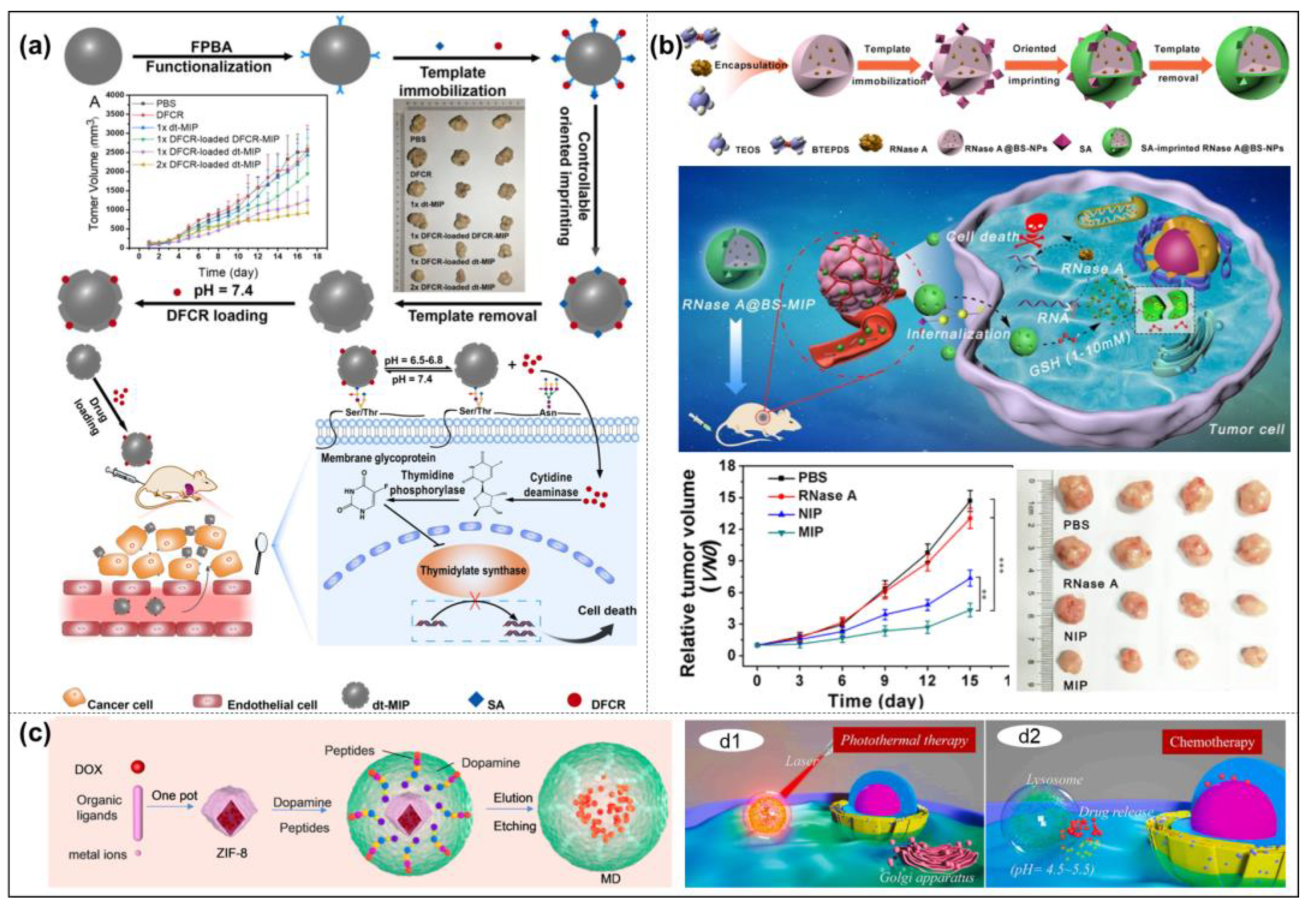 Molecules 28 00918 g012