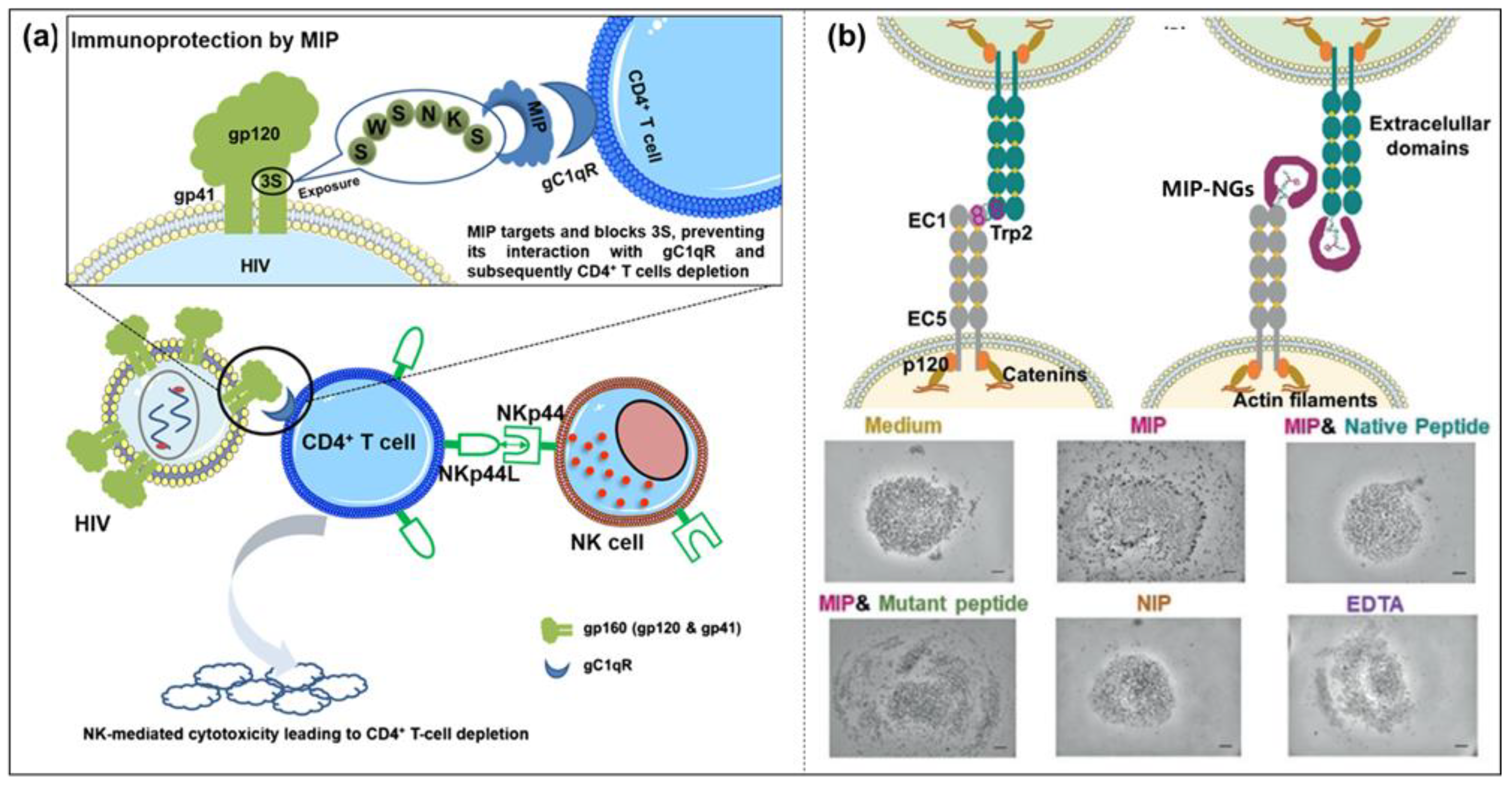 Molecules 28 00918 g013