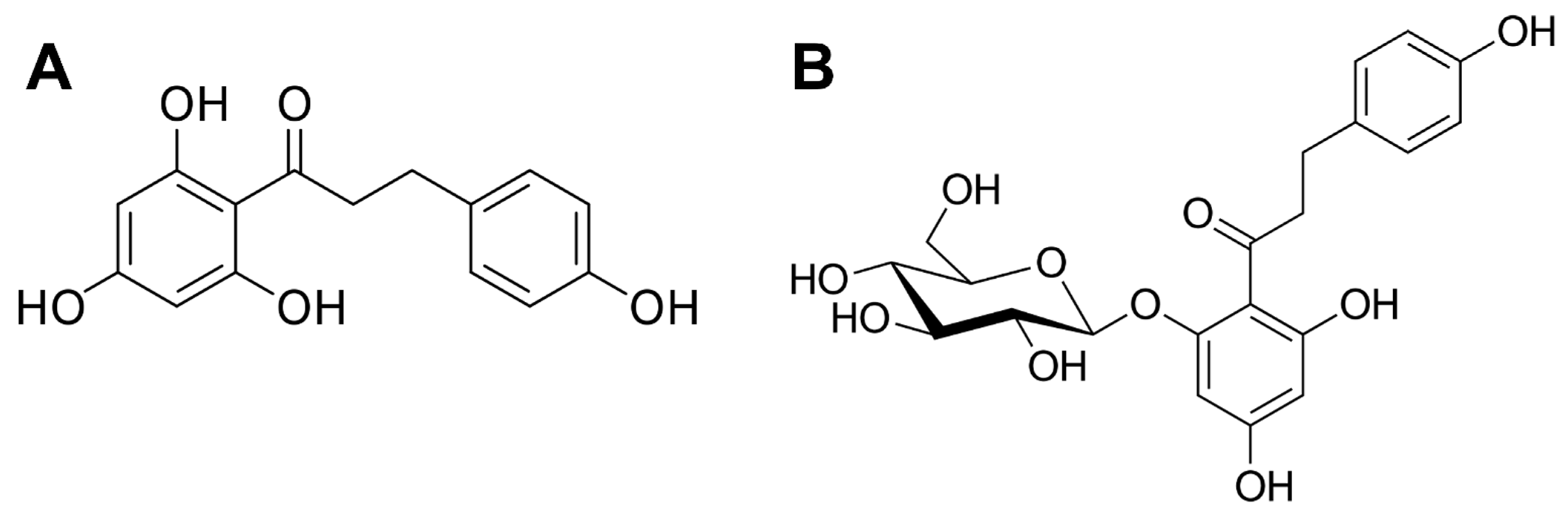 Molecules 28 00919 g001