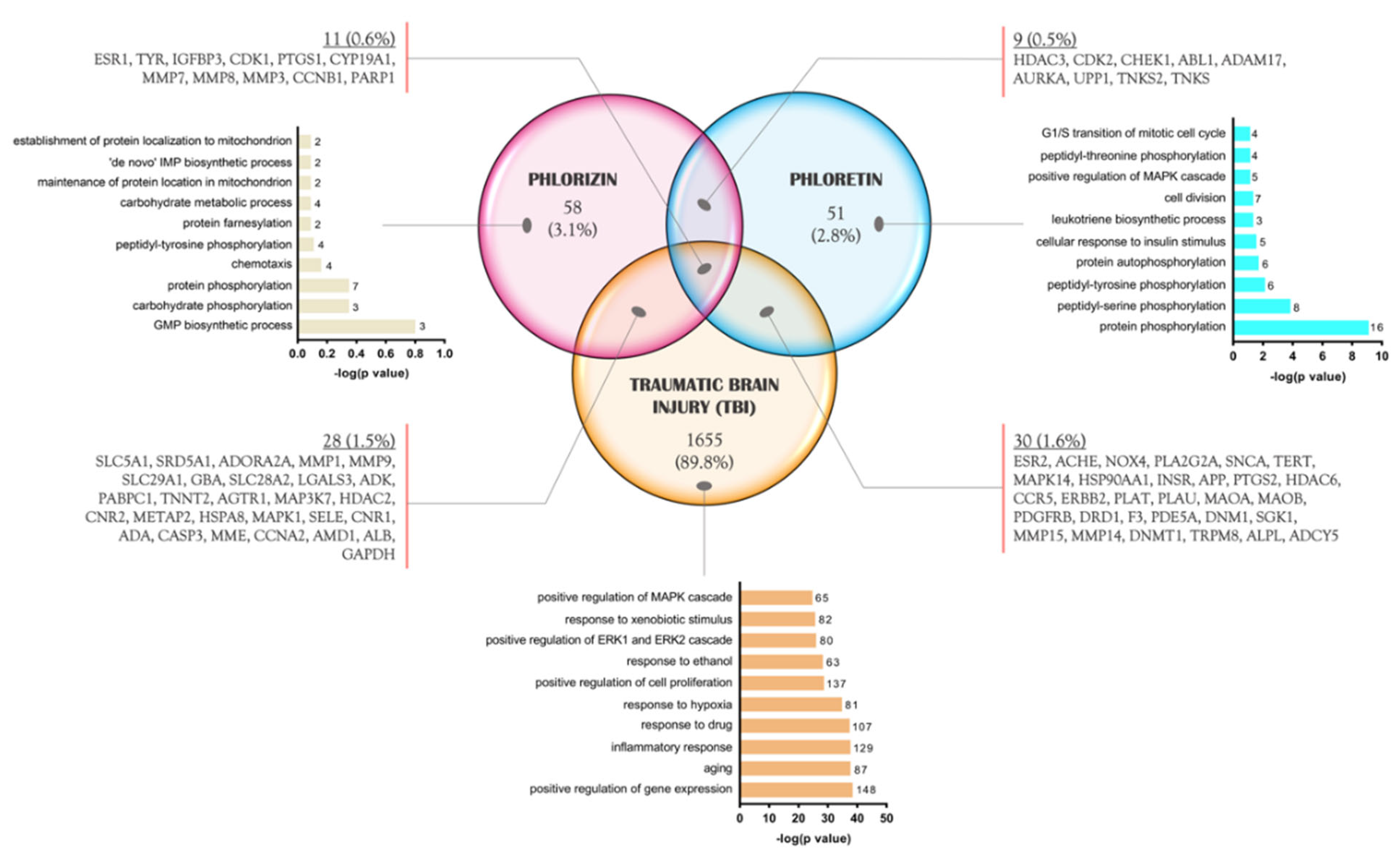 Molecules 28 00919 g003