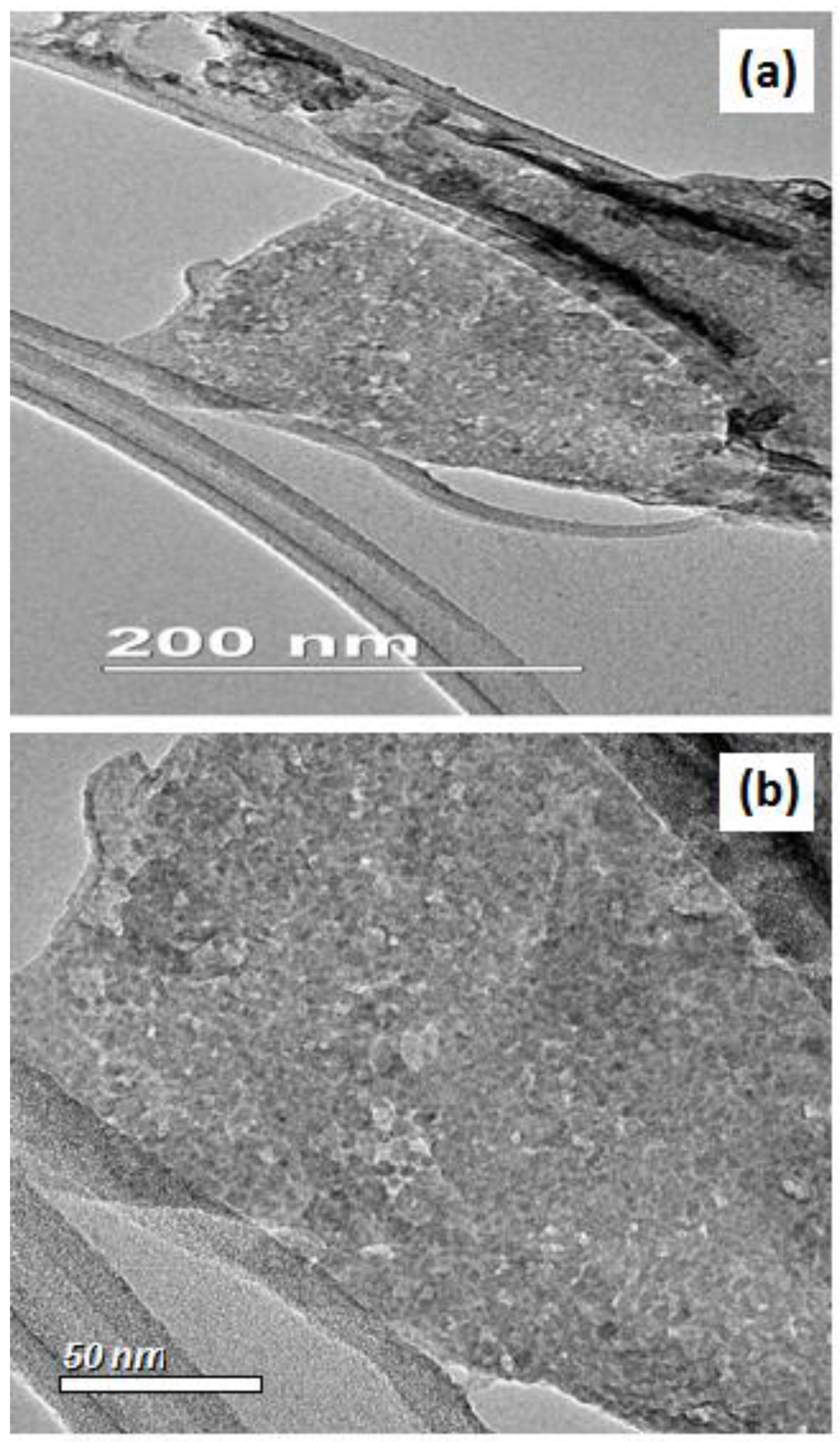 Molecules 28 00926 g002