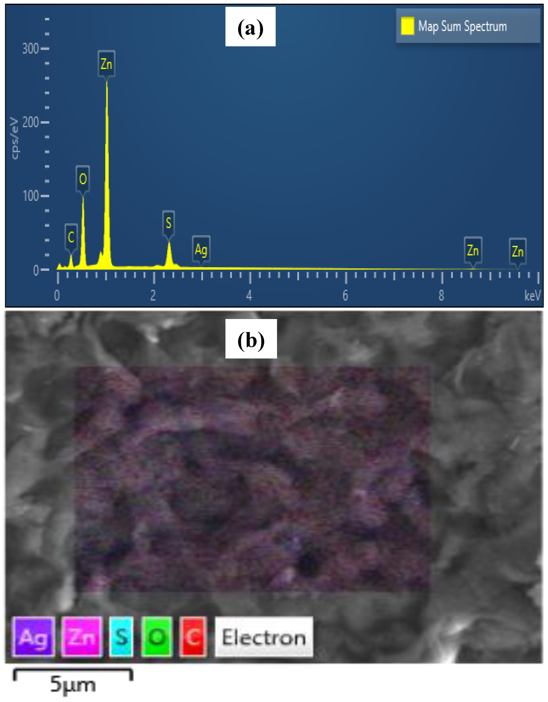 Molecules 28 00926 g003