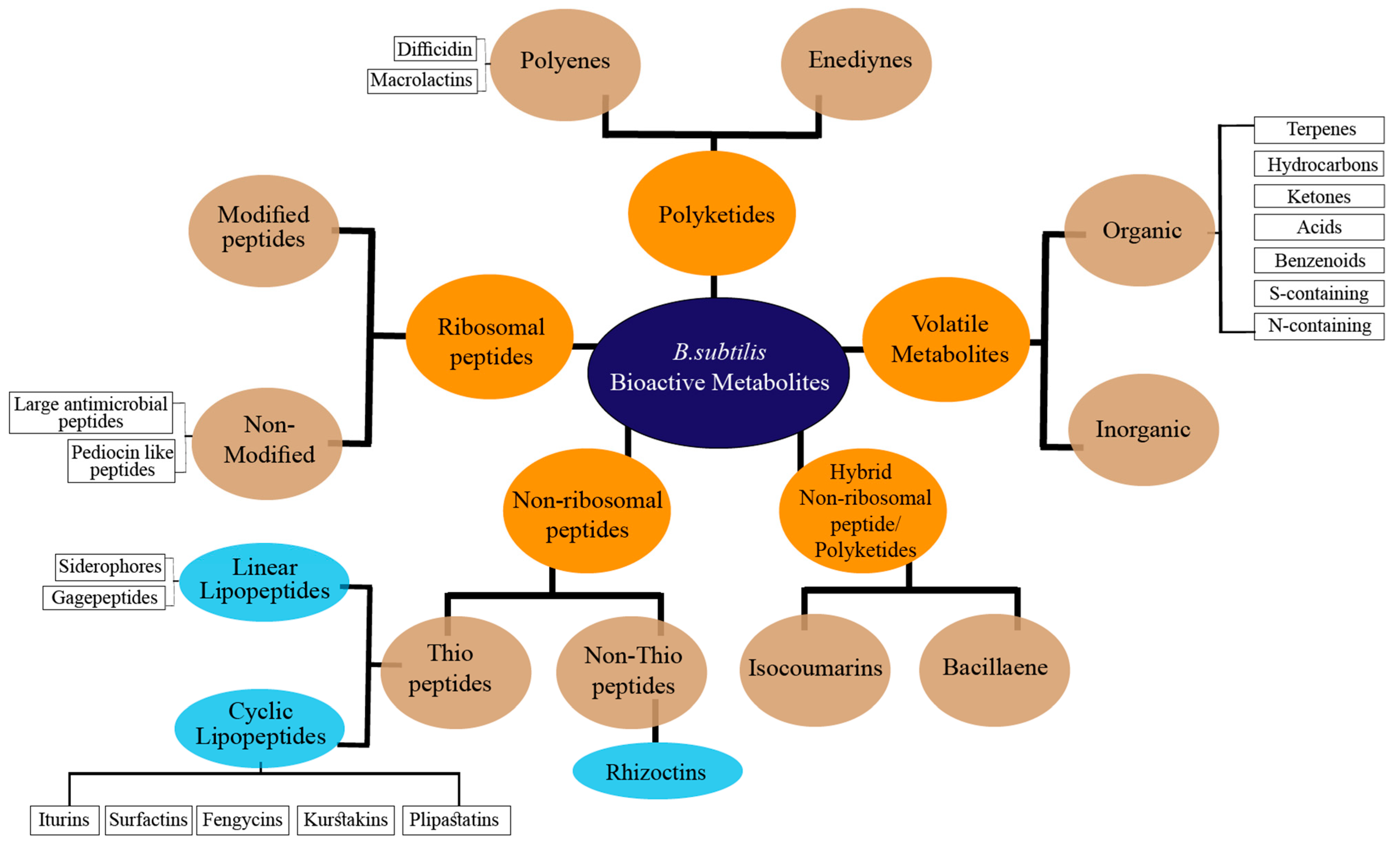 Molecules 28 00927 g001