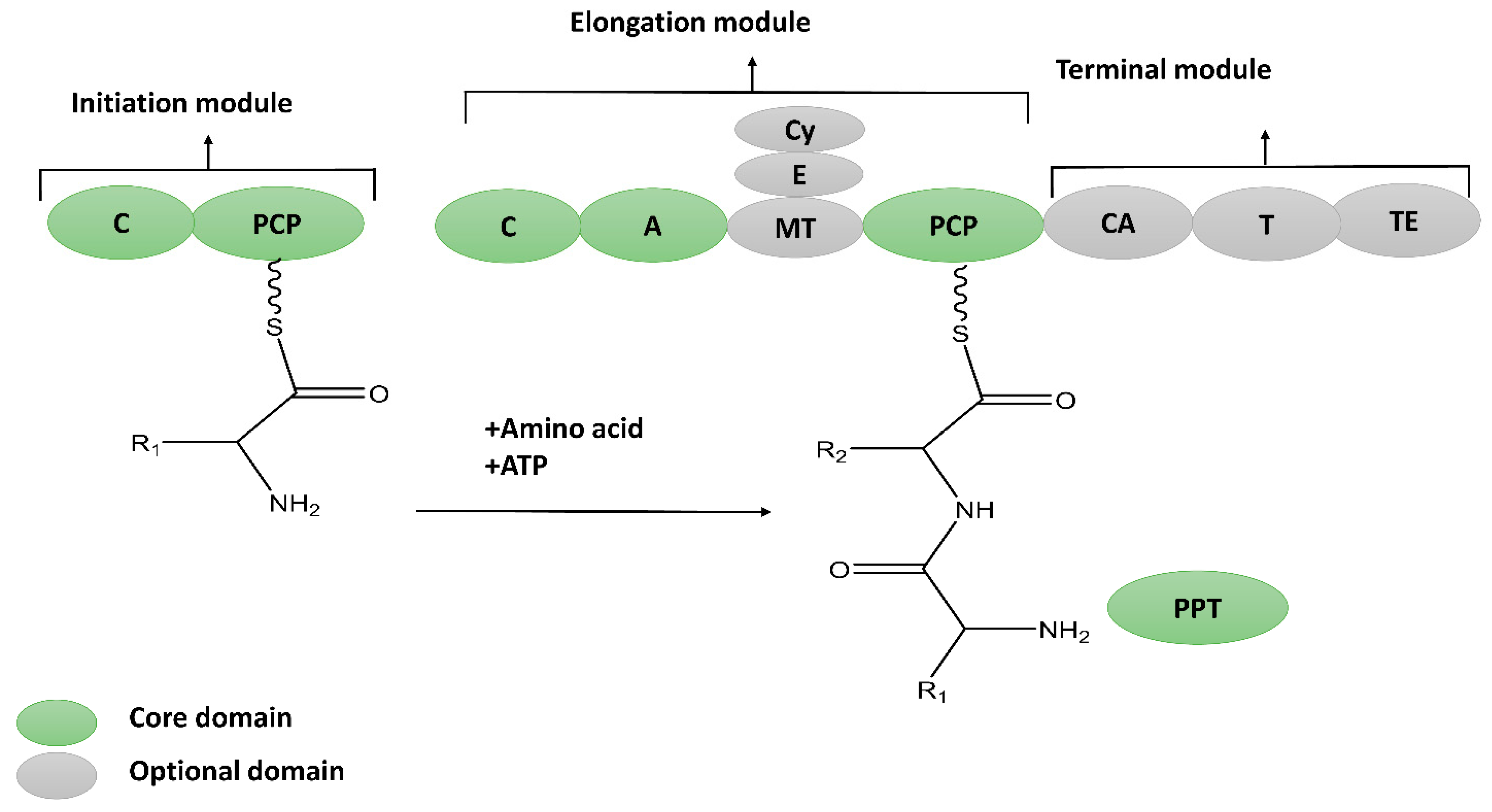 Molecules 28 00927 g002