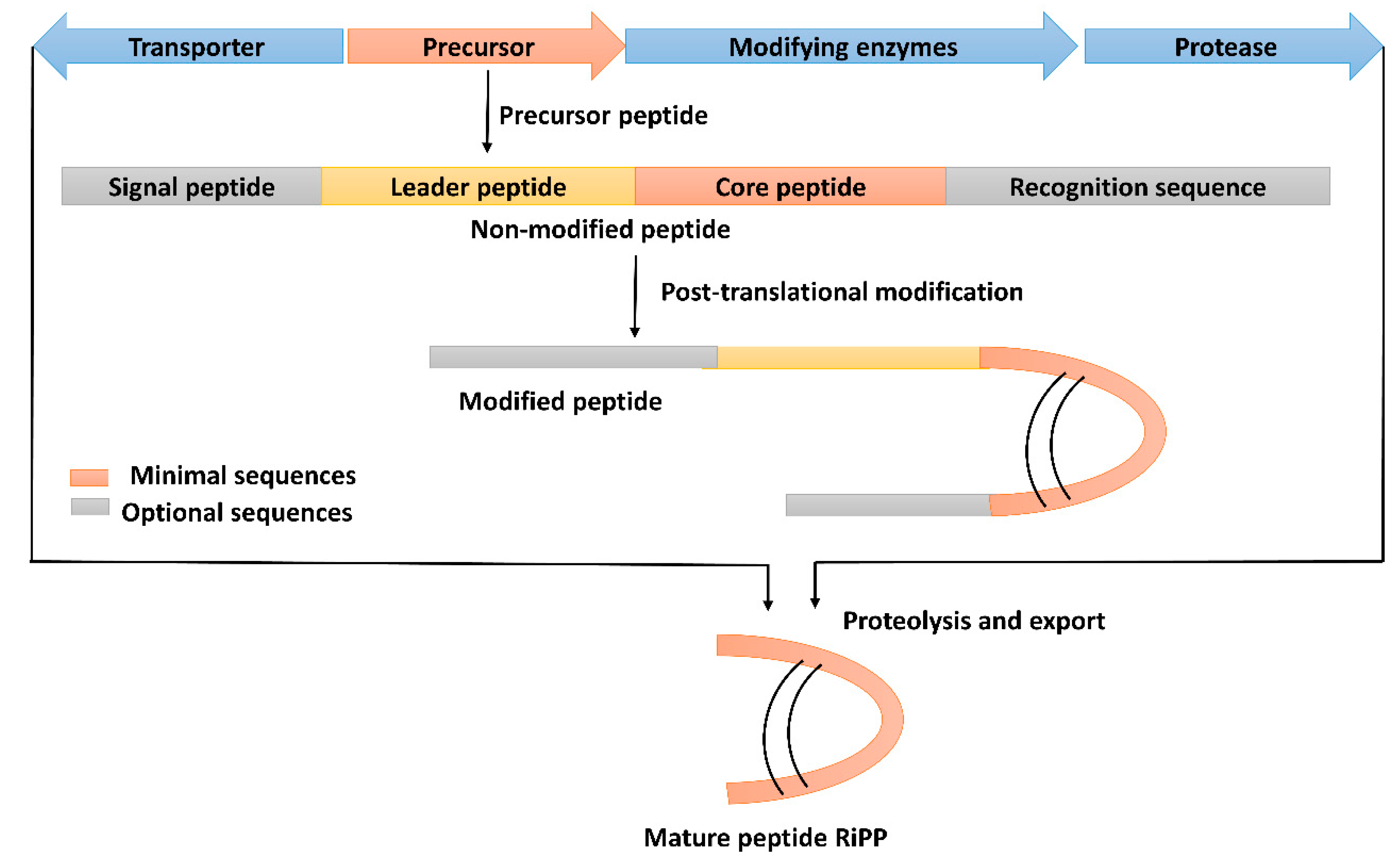 Molecules 28 00927 g004