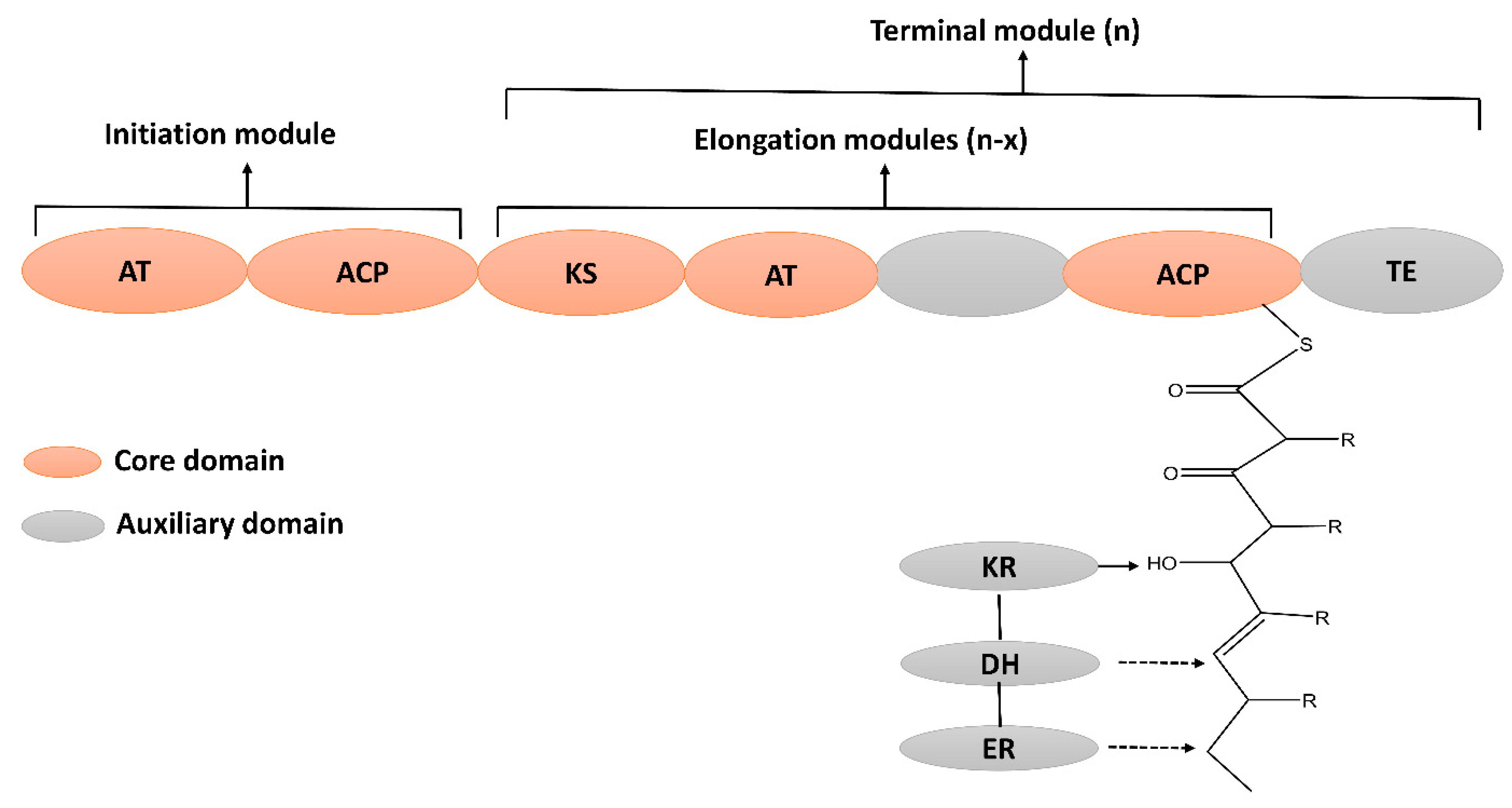 Molecules 28 00927 g005